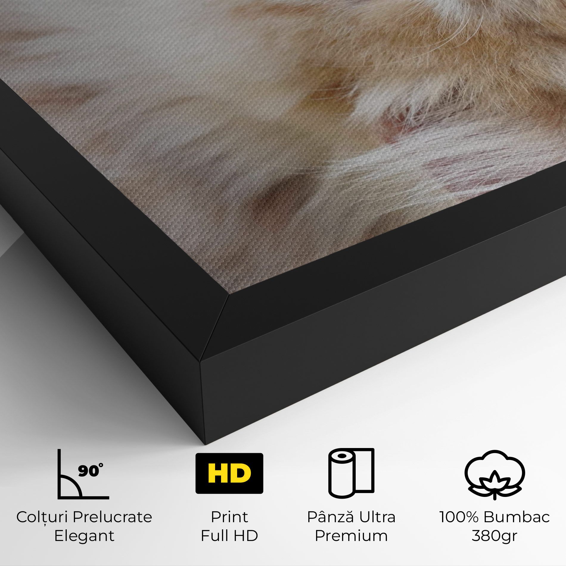 Close Up Yellow Eyes Cat mockup 4