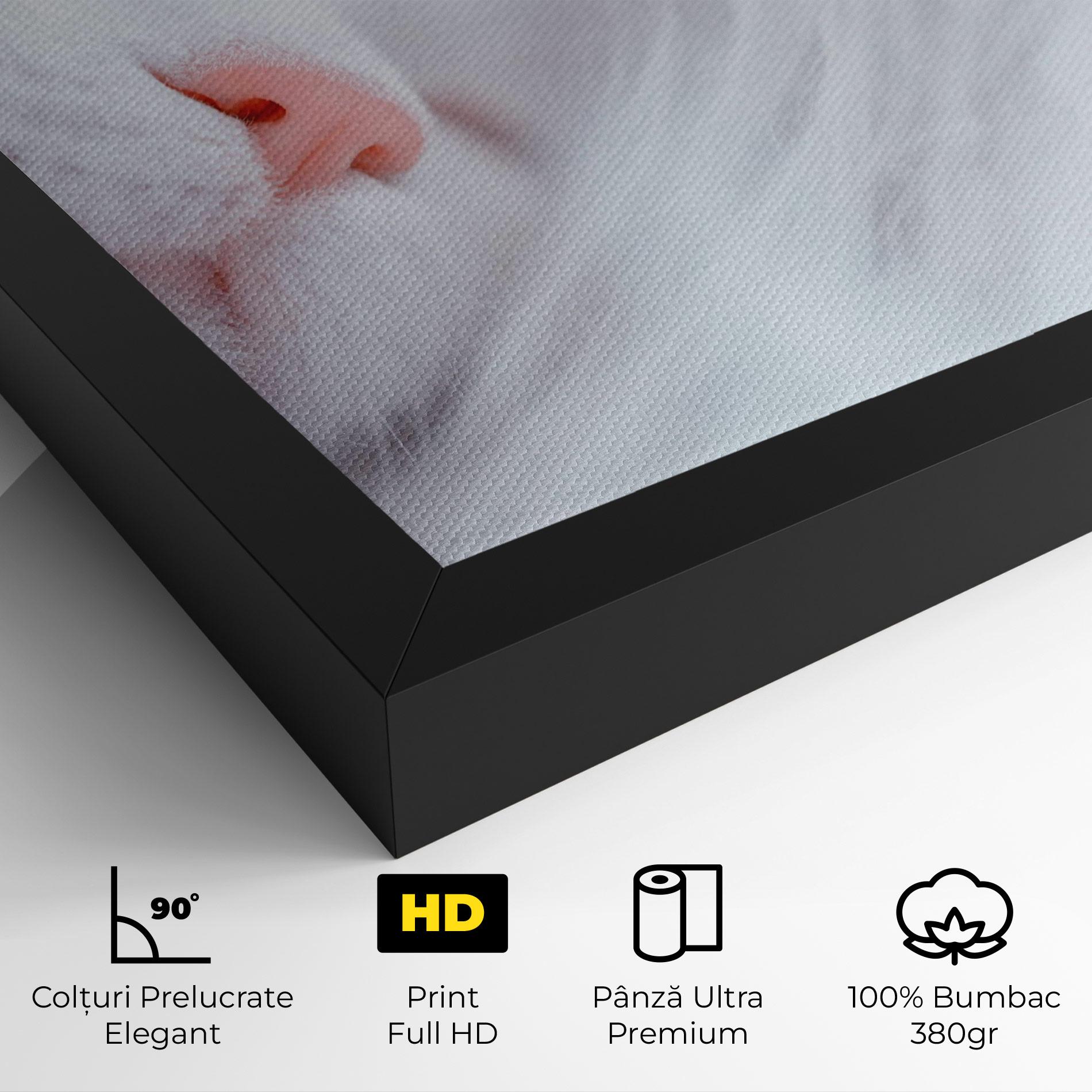 Tablou Canvas Dreamy White Cat mockup 4