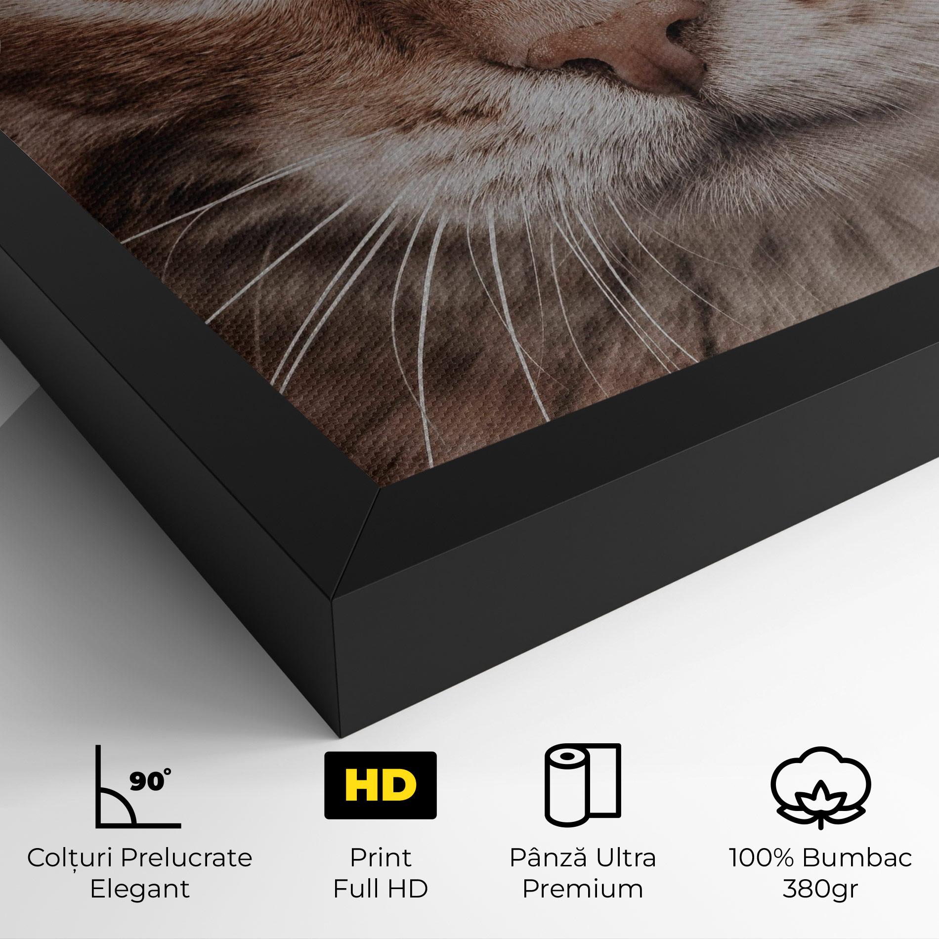Tablou Canvas Fire Eyes Cat mockup 4