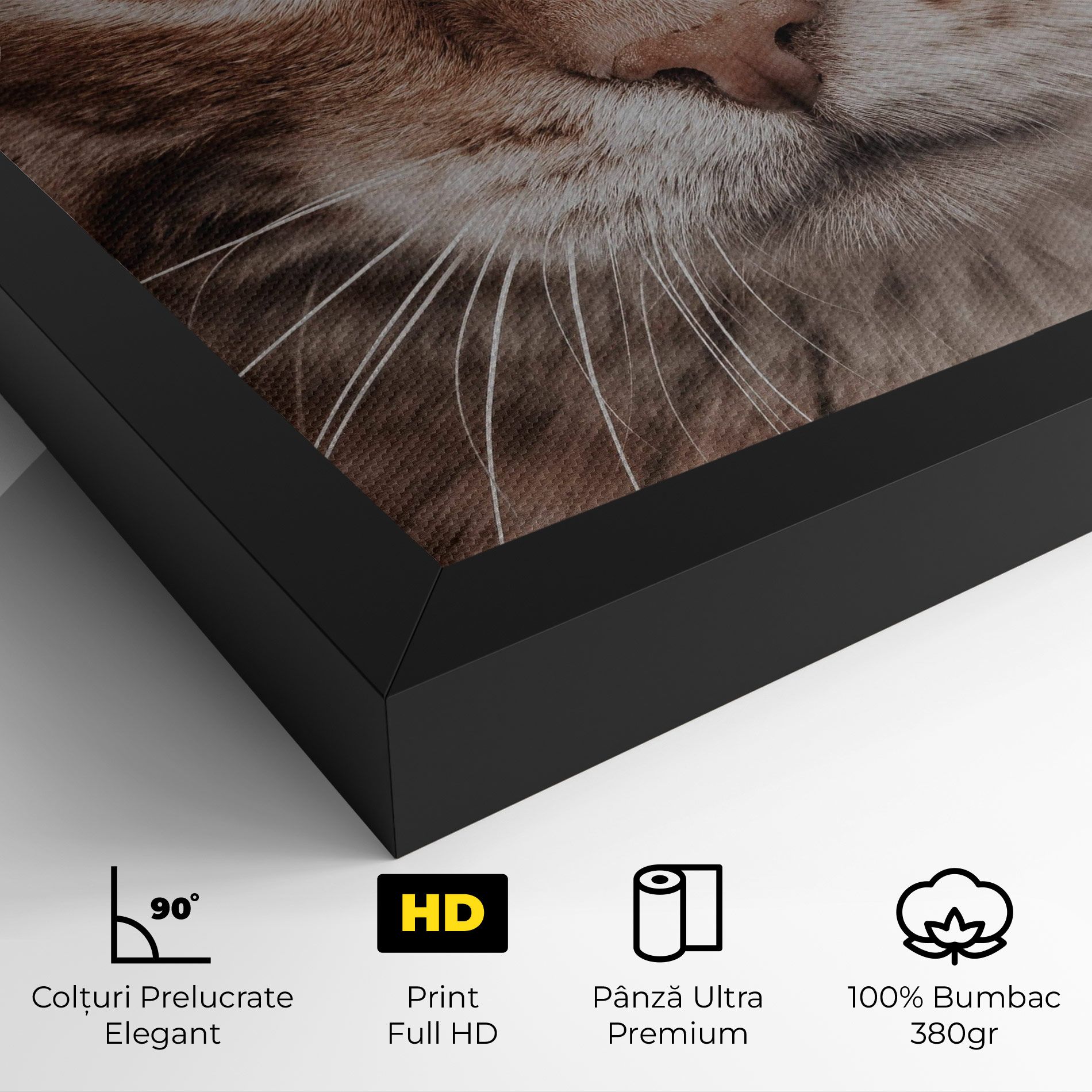 Fire Eyes Cat mockup 4