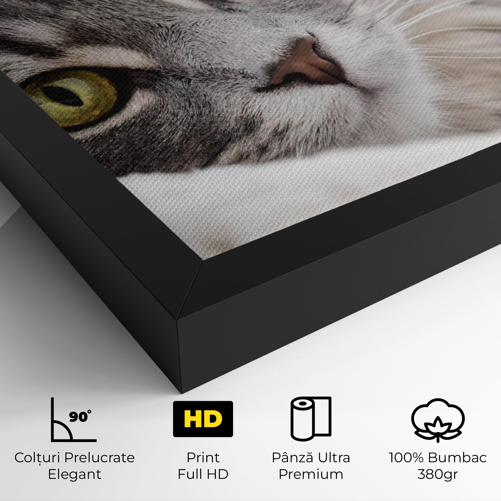Grey Fluffy Cat mockup 4