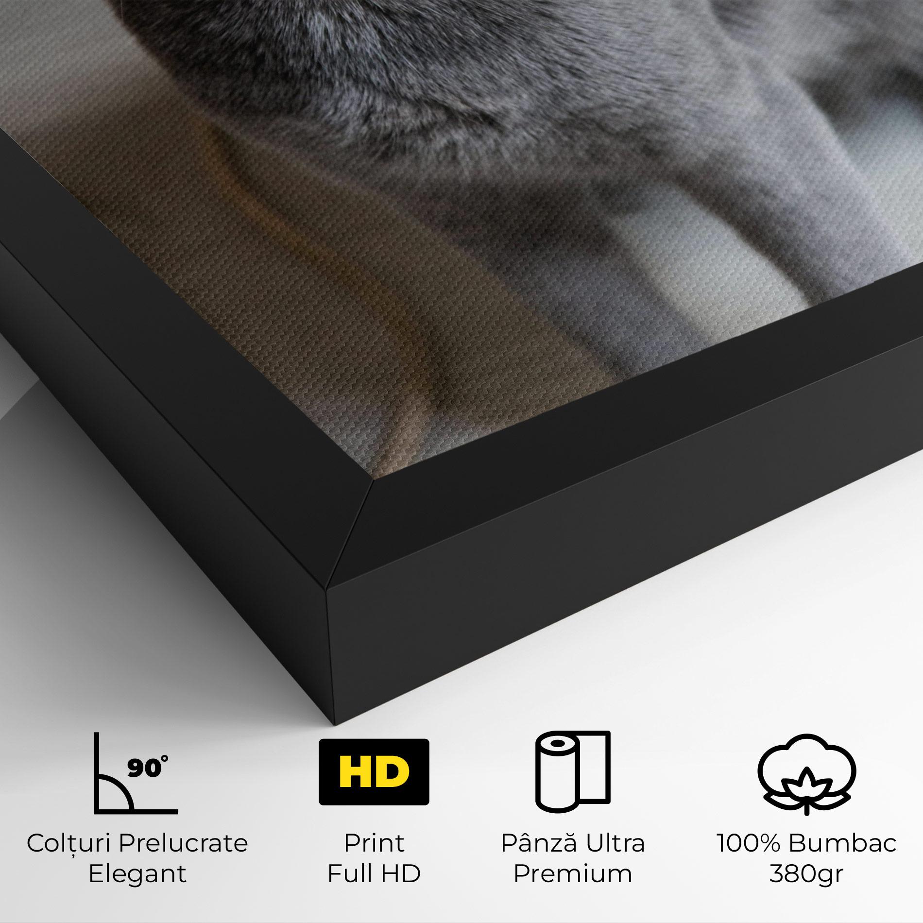 Tablou Canvas Grey Green Cat Eyes mockup 4