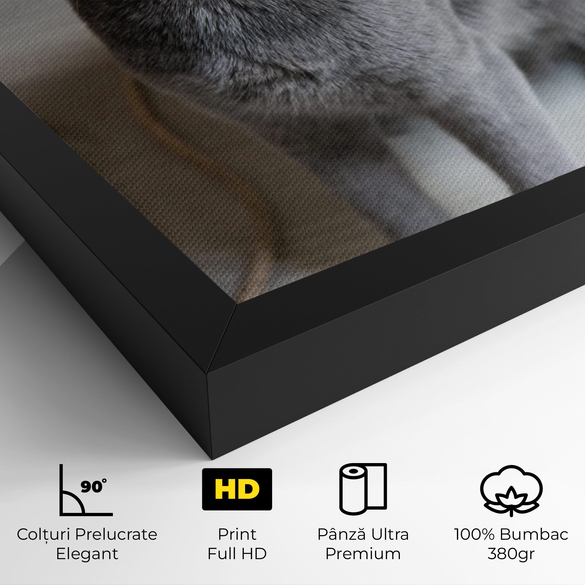Grey Green Cat Eyes mockup 4