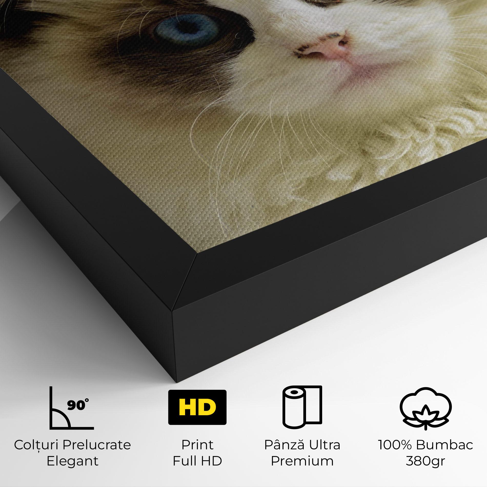 Tablou Canvas Interesting Blue Eyes Cat mockup 4