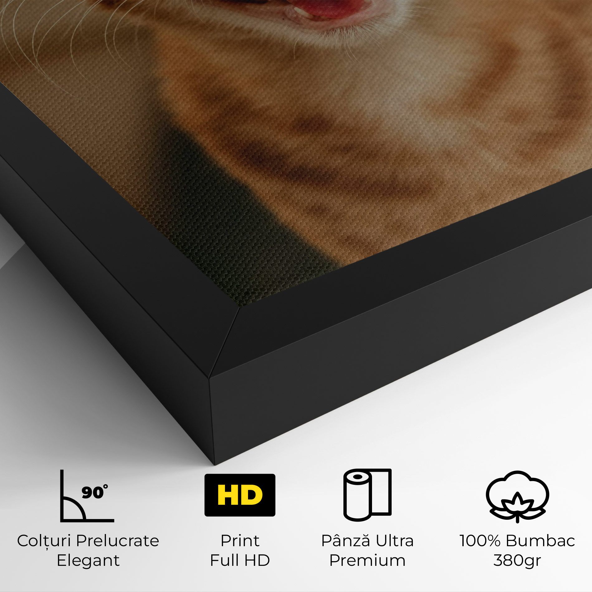Orange Cat Smiling mockup 4