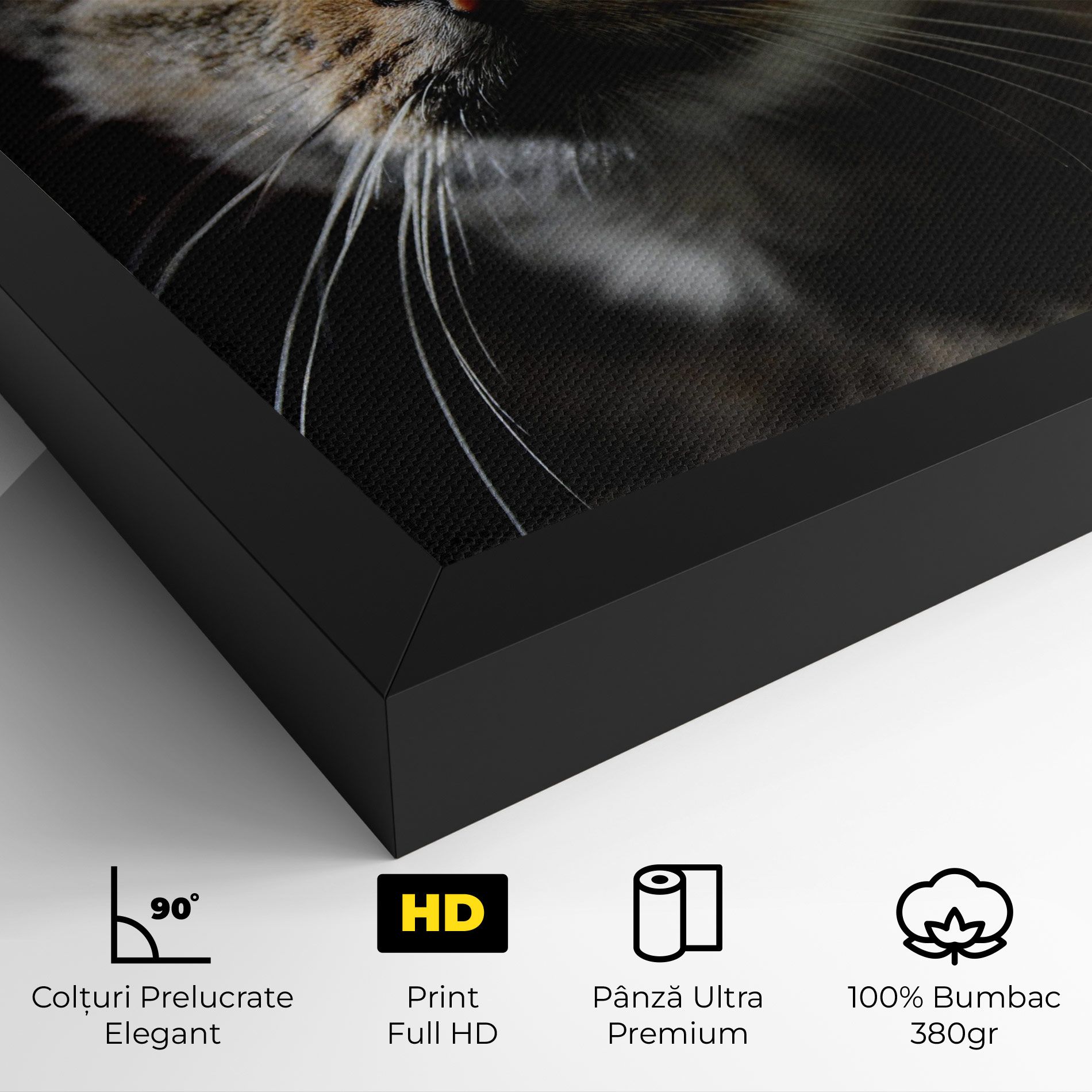 Playful Cat mockup 4