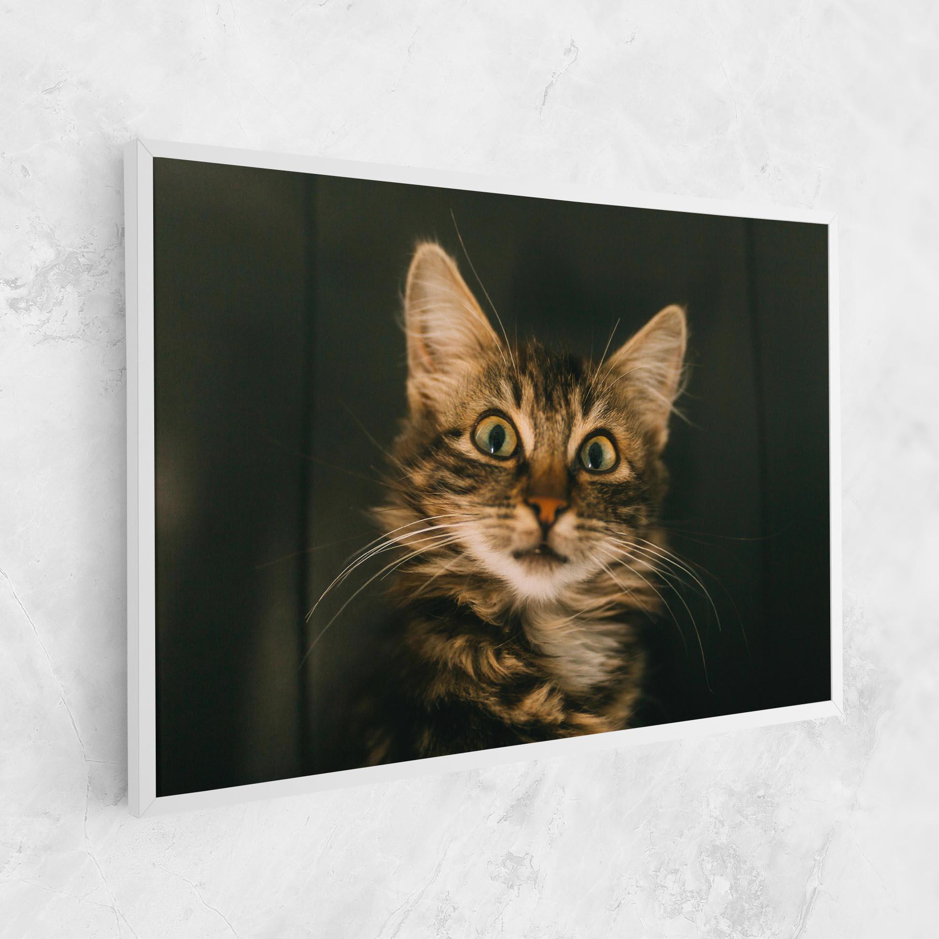 Tablou Canvas Amazed Cat mockup 1