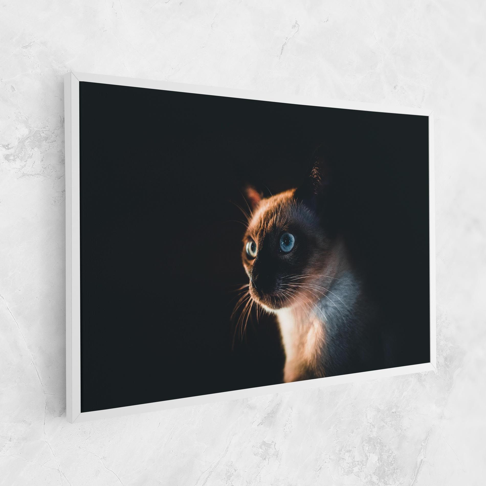 Blue Eyes Cat In Dark mockup 1