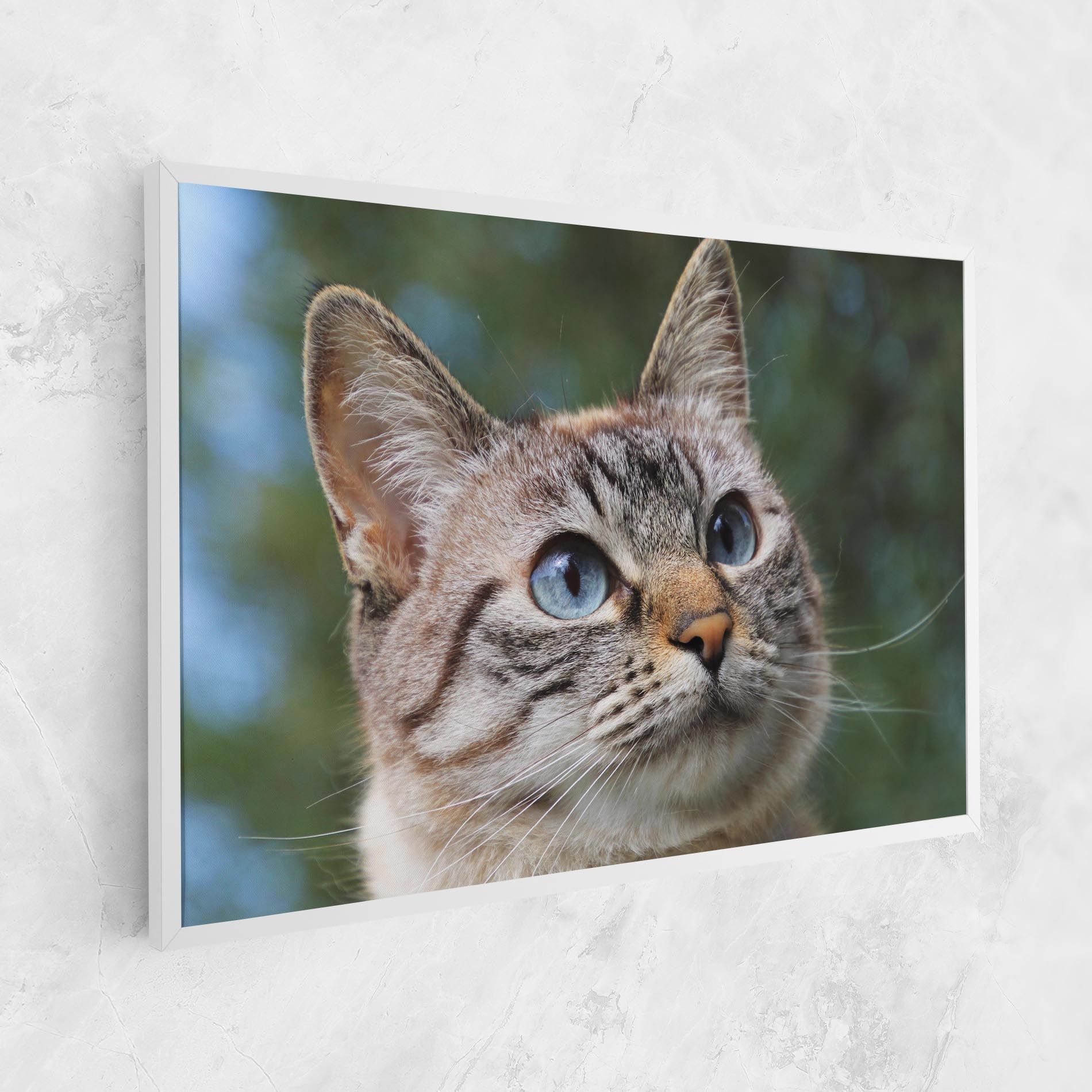 Blue Eyes Cutie mockup 1