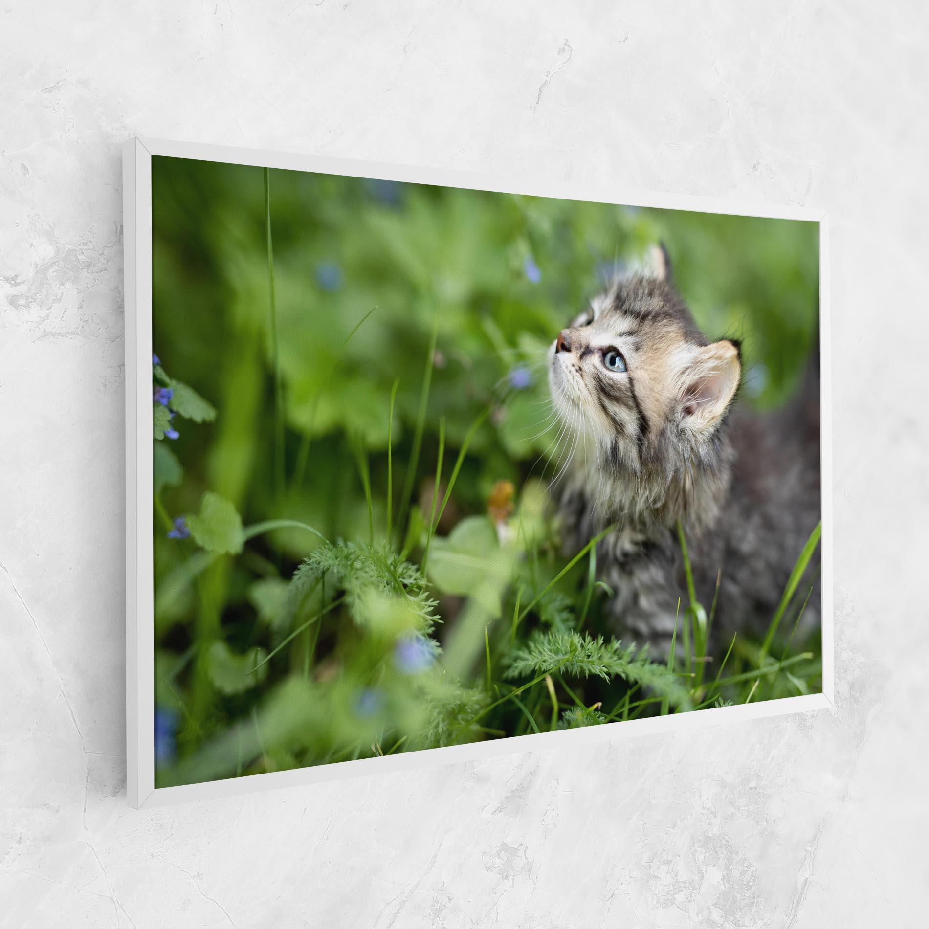 Tablou Canvas Brown Baby Cat mockup 1