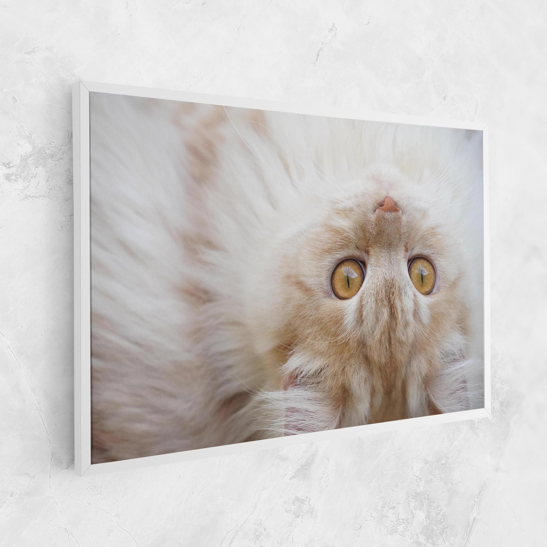 Close Up Yellow Eyes Cat mockup 1
