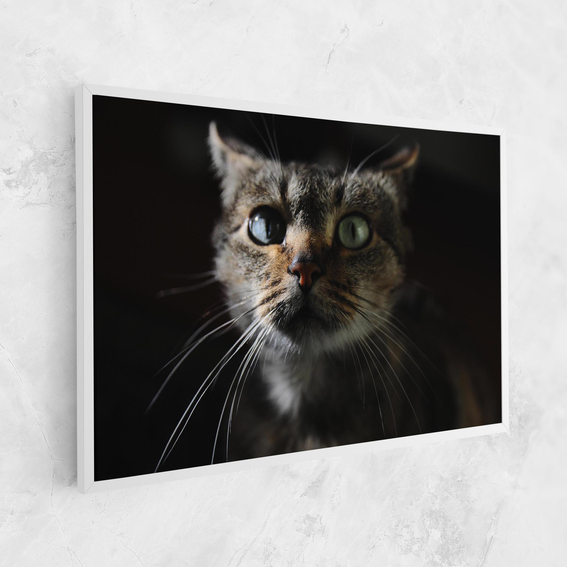 Tablou Canvas Playful Cat mockup 1