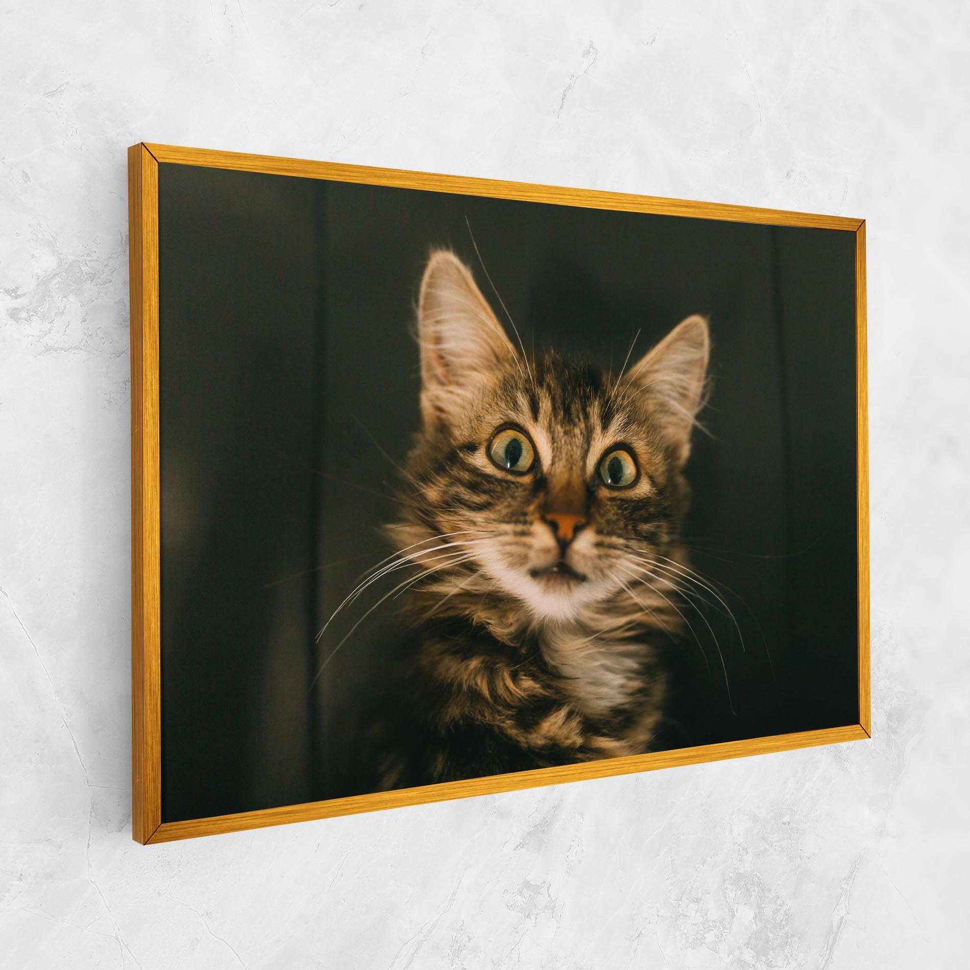Tablou Canvas Amazed Cat mockup 1