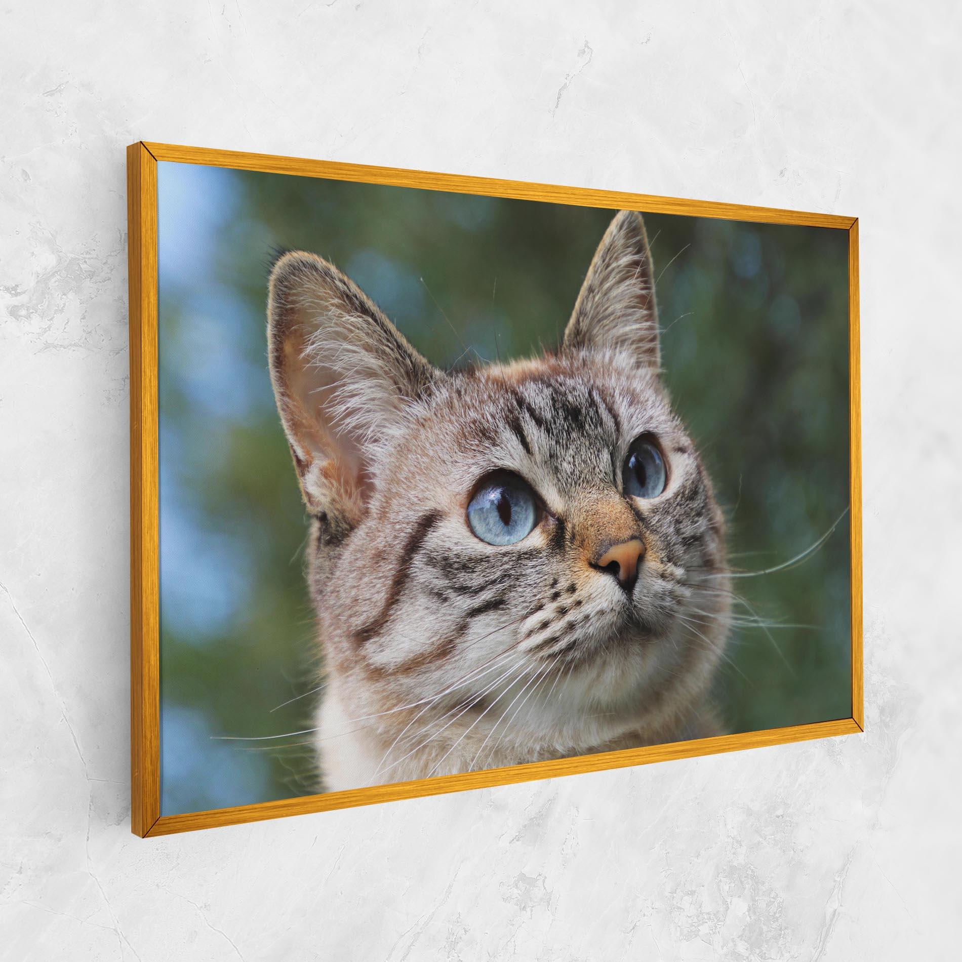 Tablou Canvas Blue Eyes Cutie mockup 1