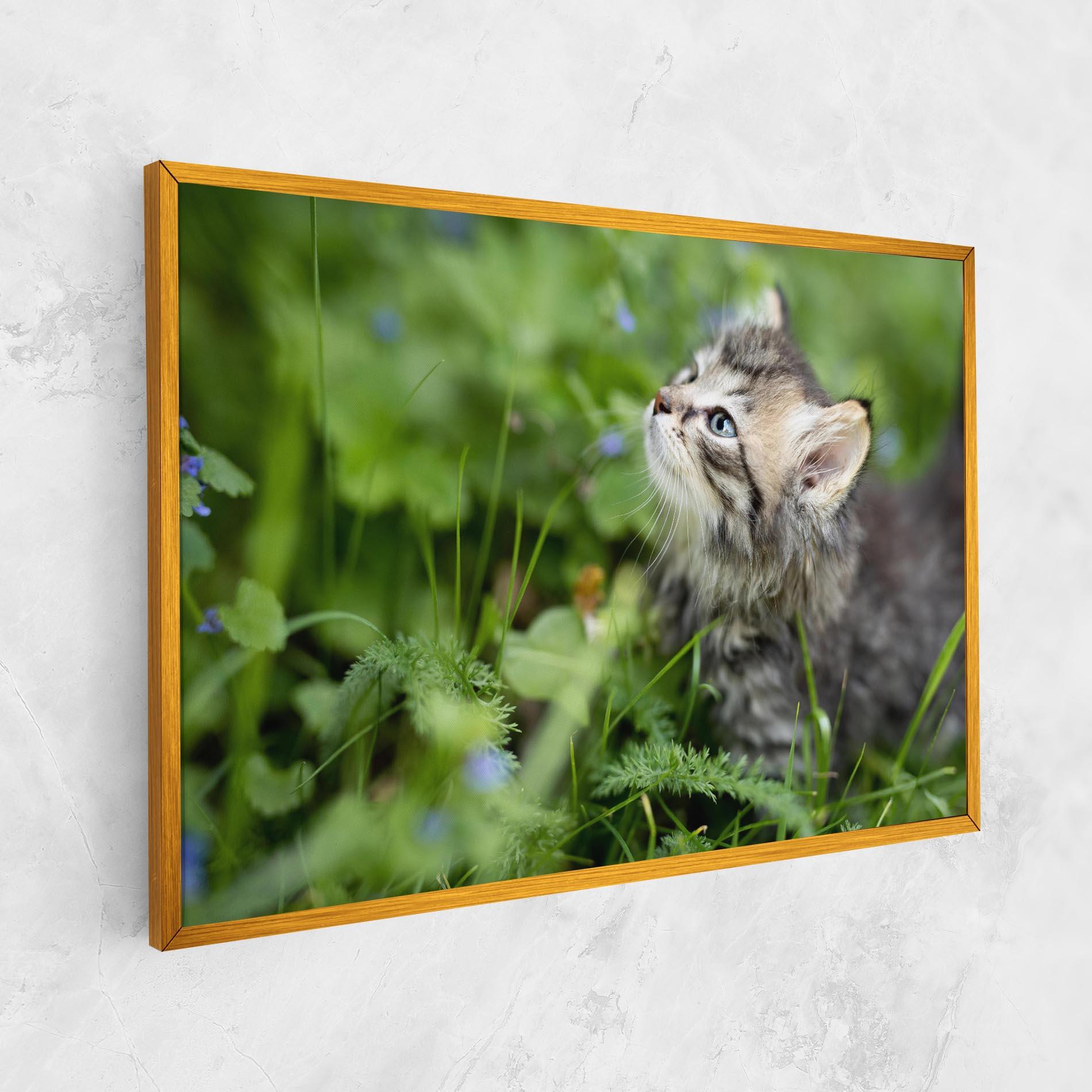Tablou Canvas Brown Baby Cat mockup 1