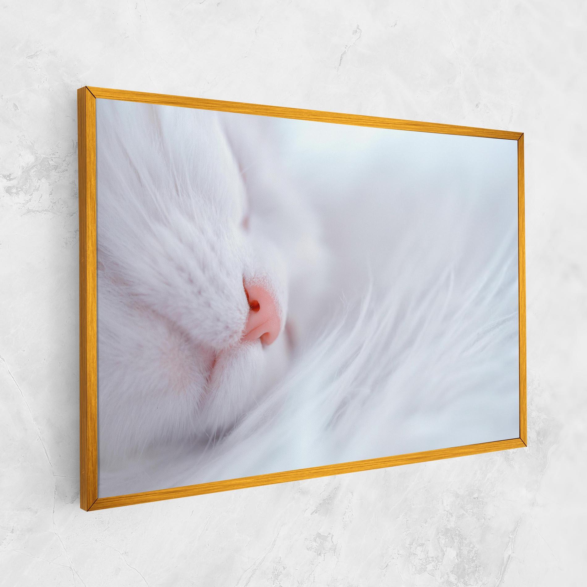 Tablou Canvas Dreamy White Cat mockup 1