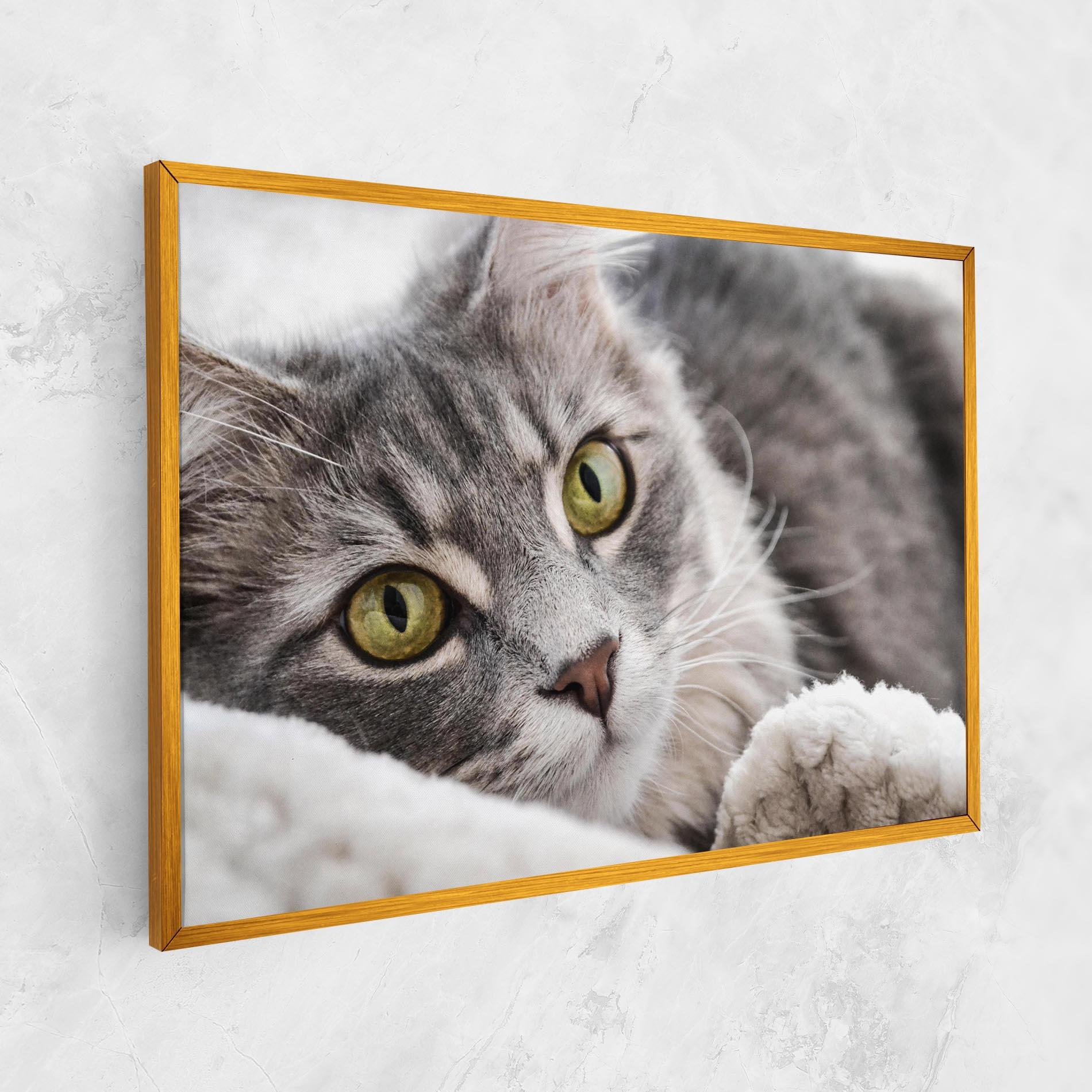 Tablou Canvas Grey Fluffy Cat mockup 1
