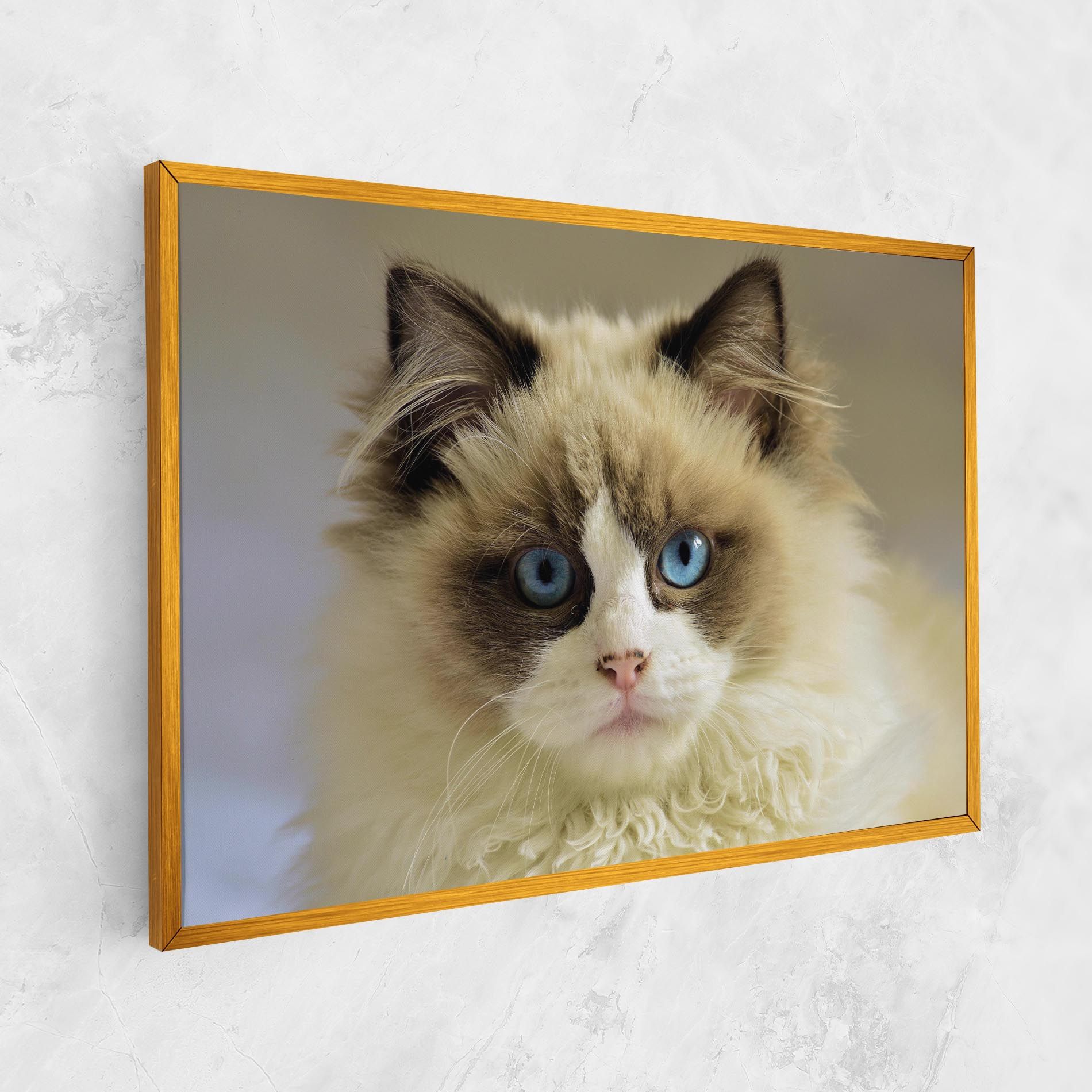 Interesting Blue Eyes Cat mockup 1