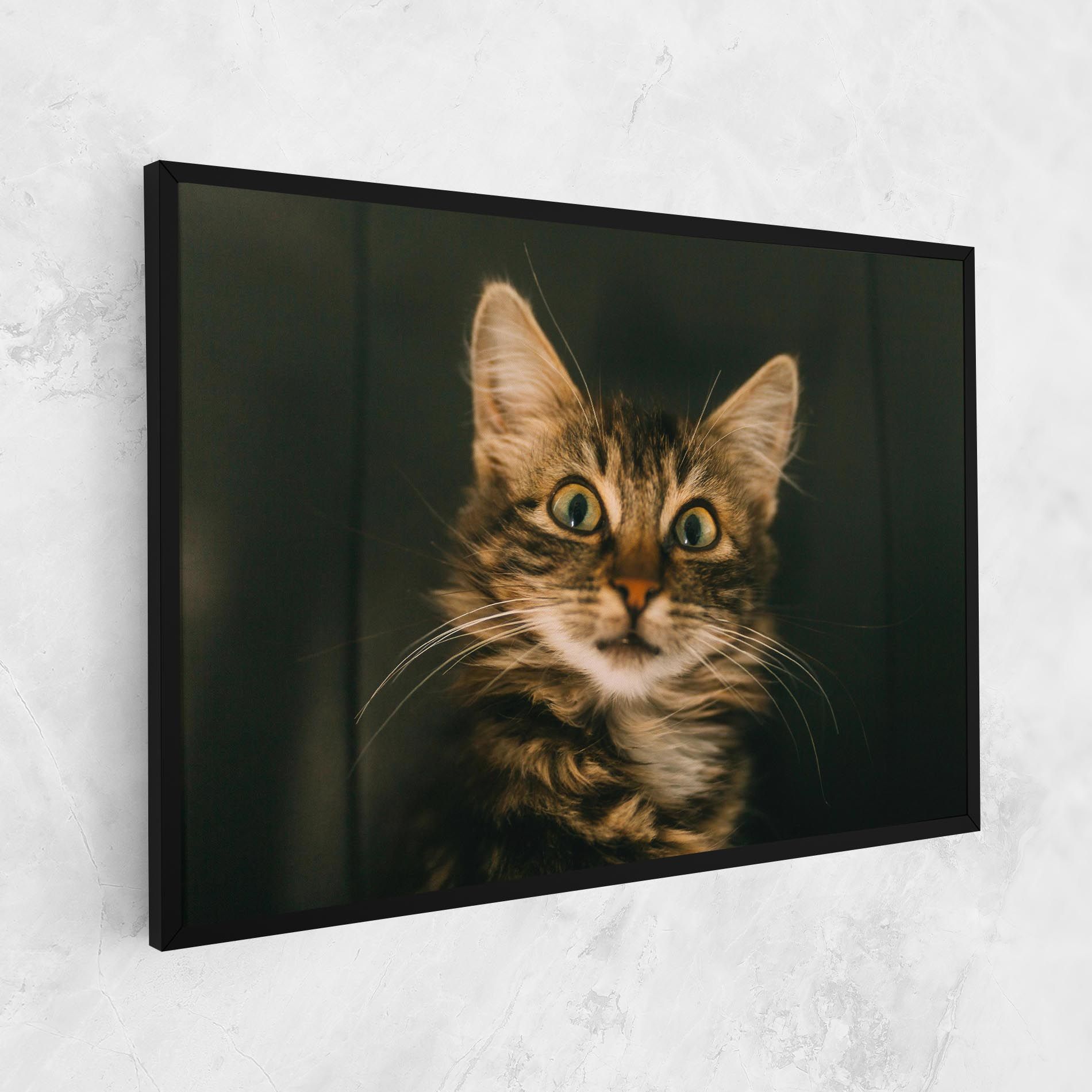 Amazed Cat mockup 1