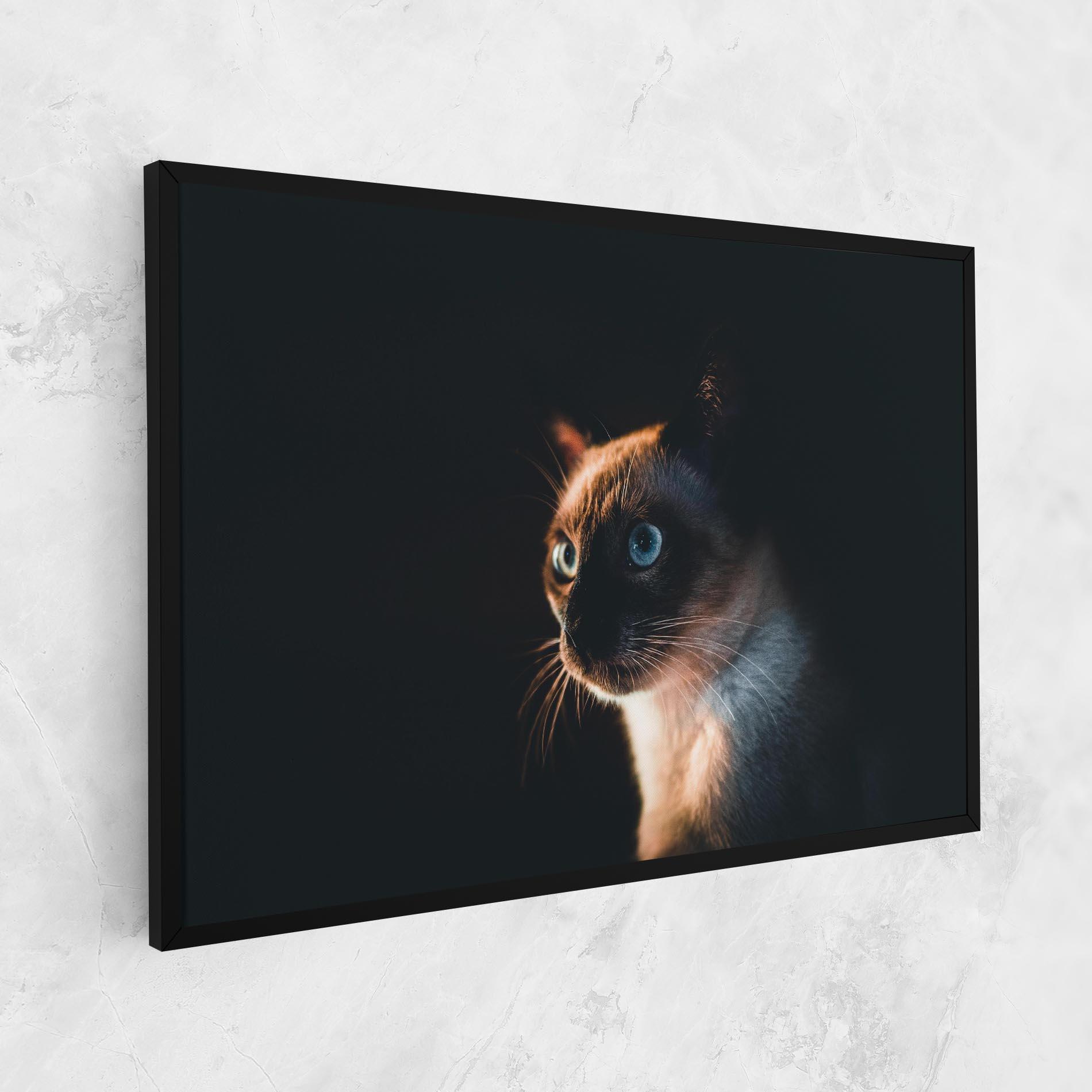 Tablou Canvas Blue Eyes Cat In Dark mockup 1