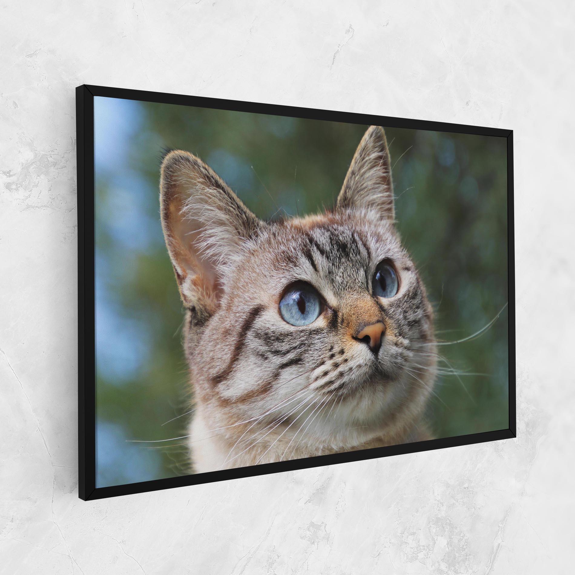 Tablou Canvas Blue Eyes Cutie mockup 1