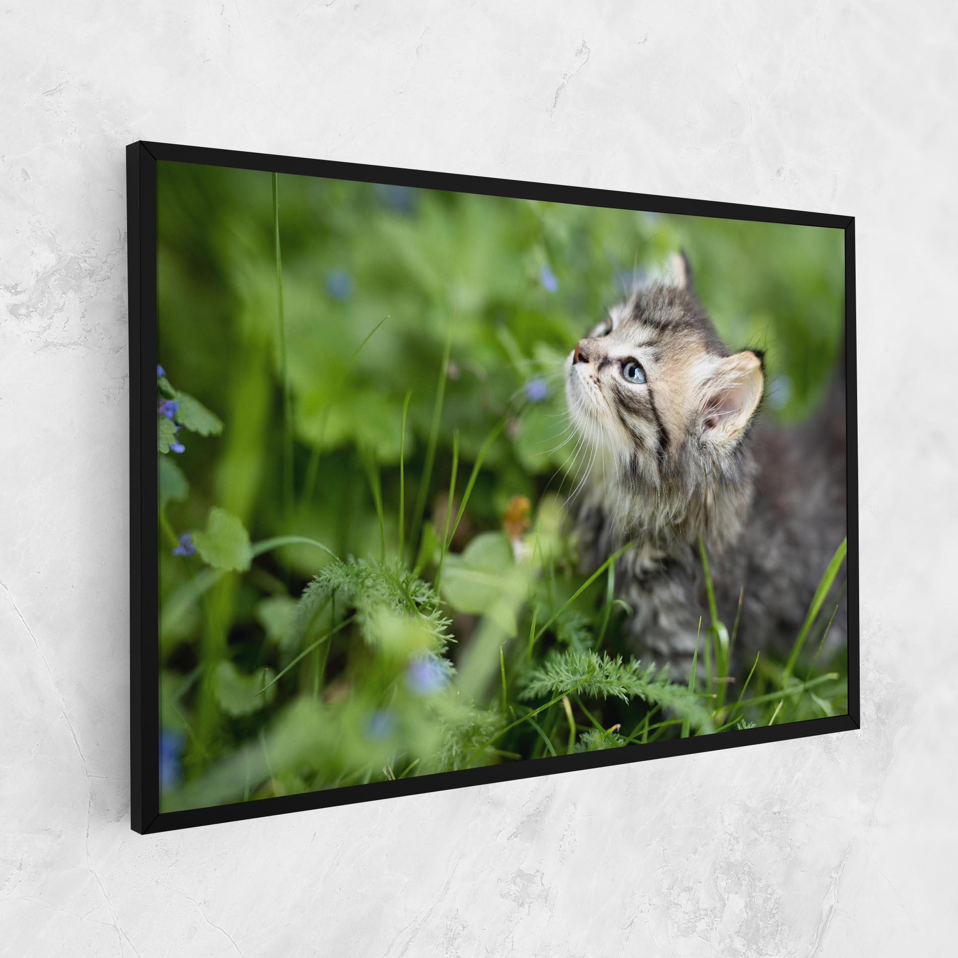 Tablou Canvas Brown Baby Cat mockup 1