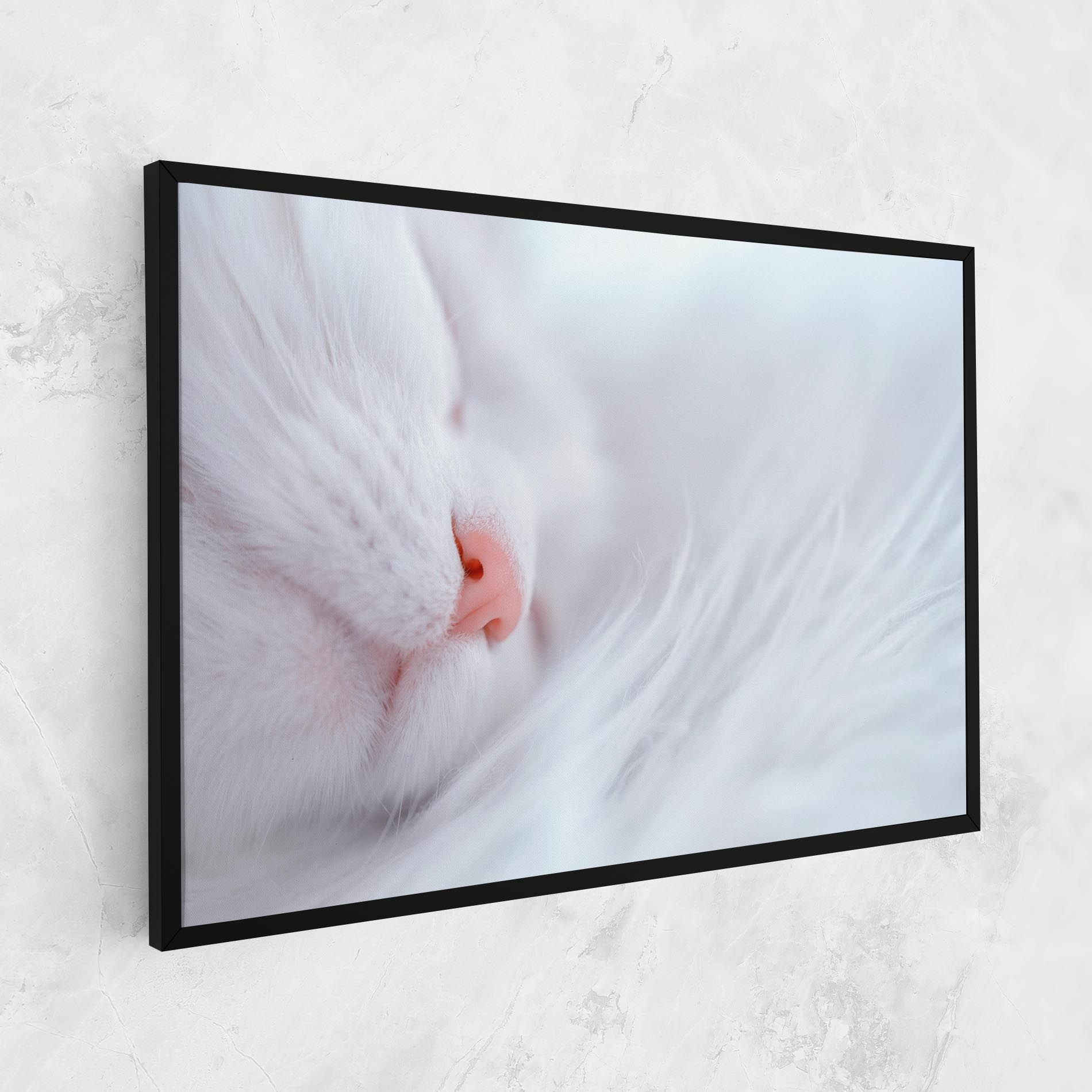 Dreamy White Cat mockup 1