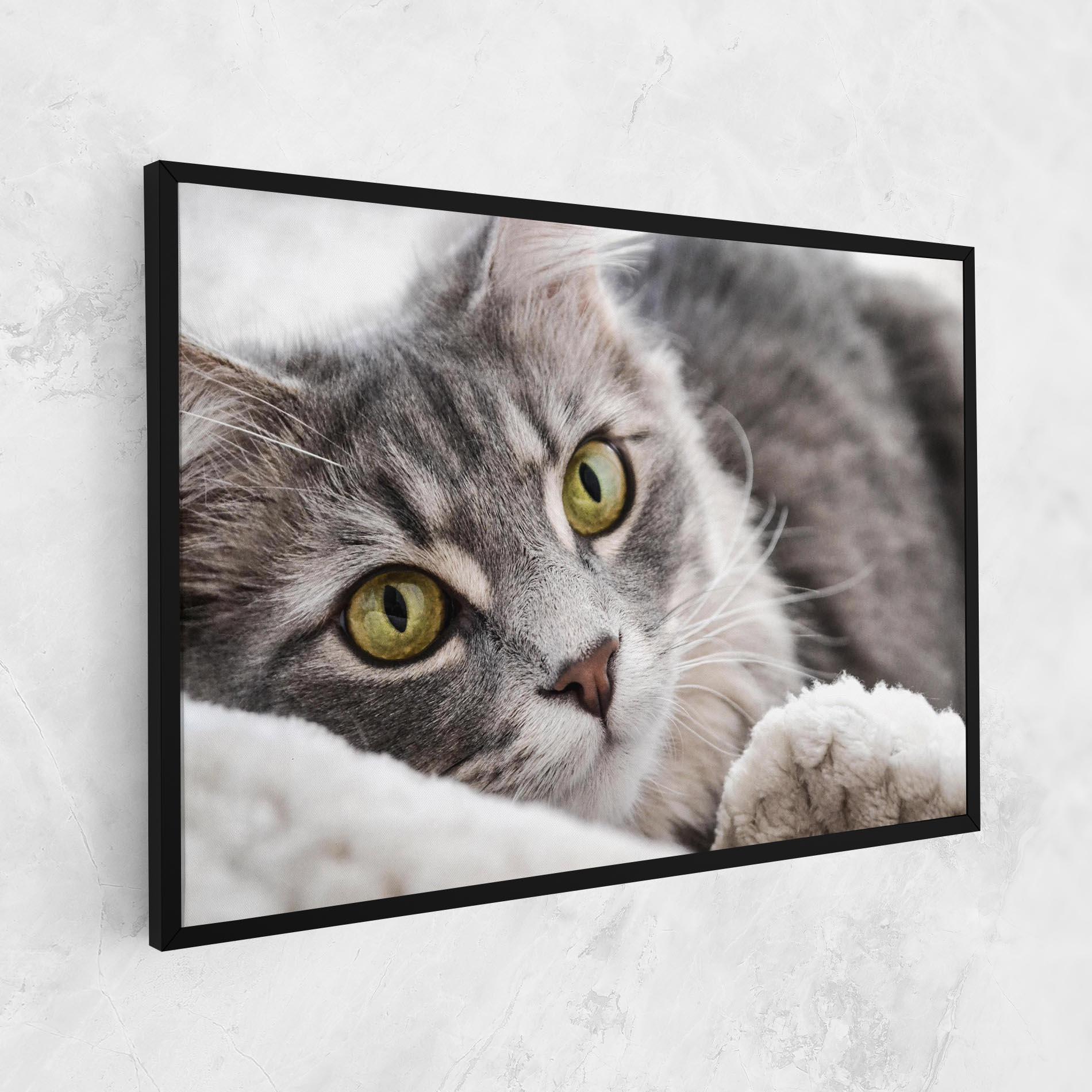 Tablou Canvas Grey Fluffy Cat mockup 1