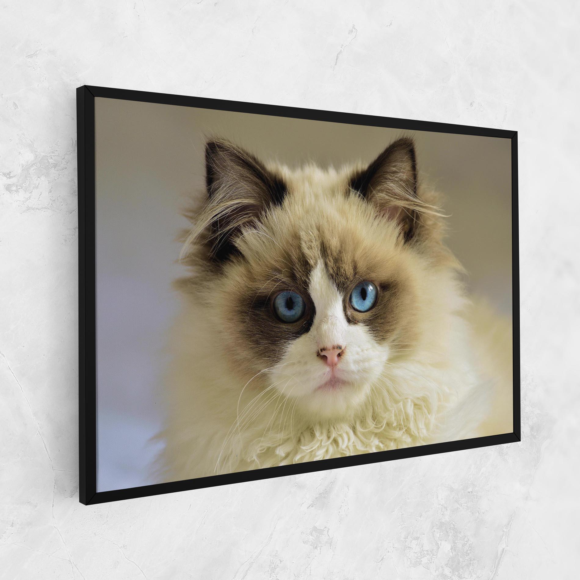 Tablou Canvas Interesting Blue Eyes Cat mockup 1