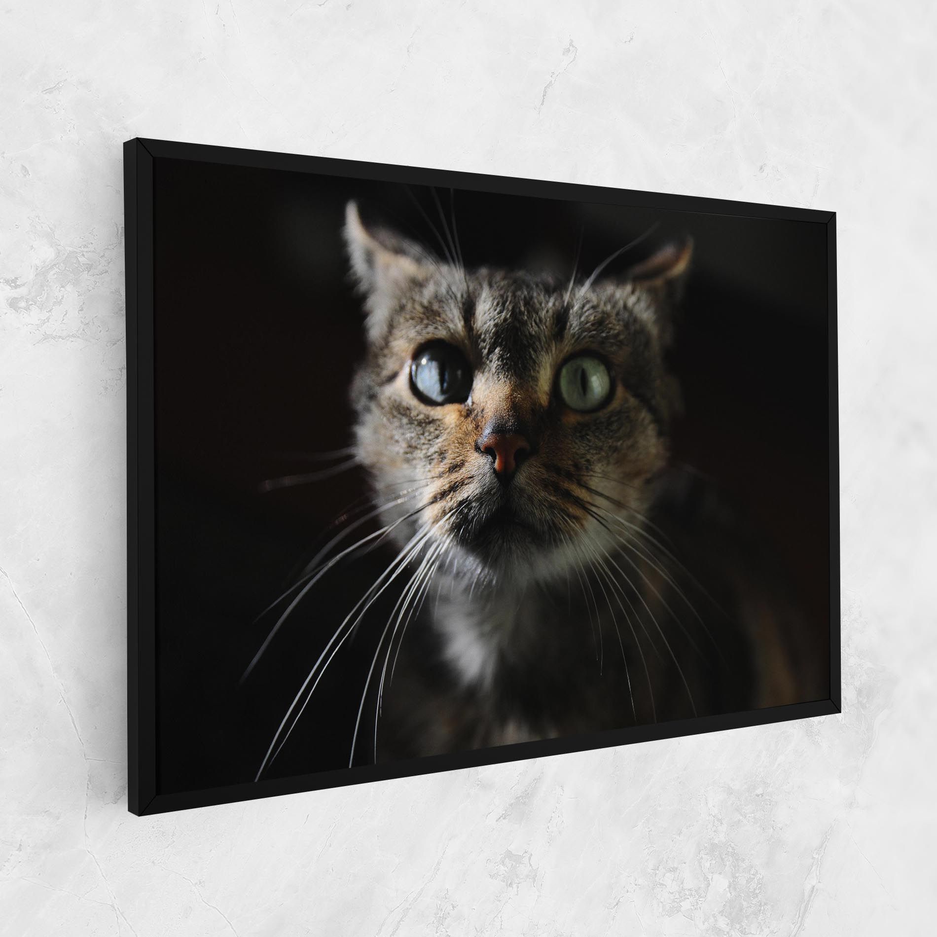 Playful Cat mockup 1