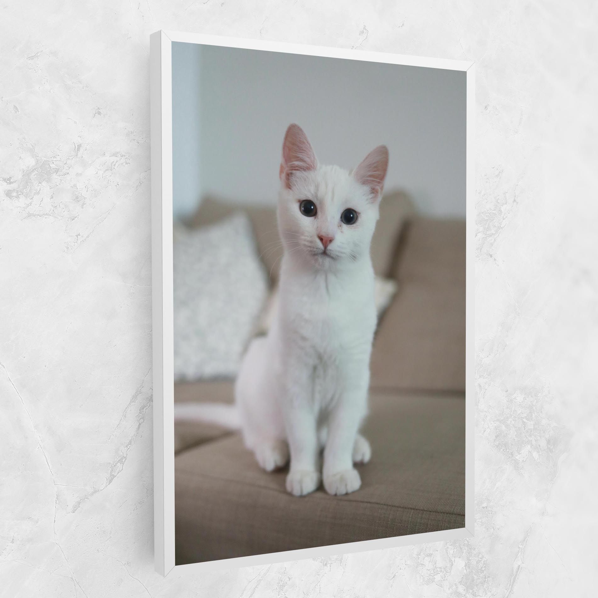 Beautiful White Cat mockup 1