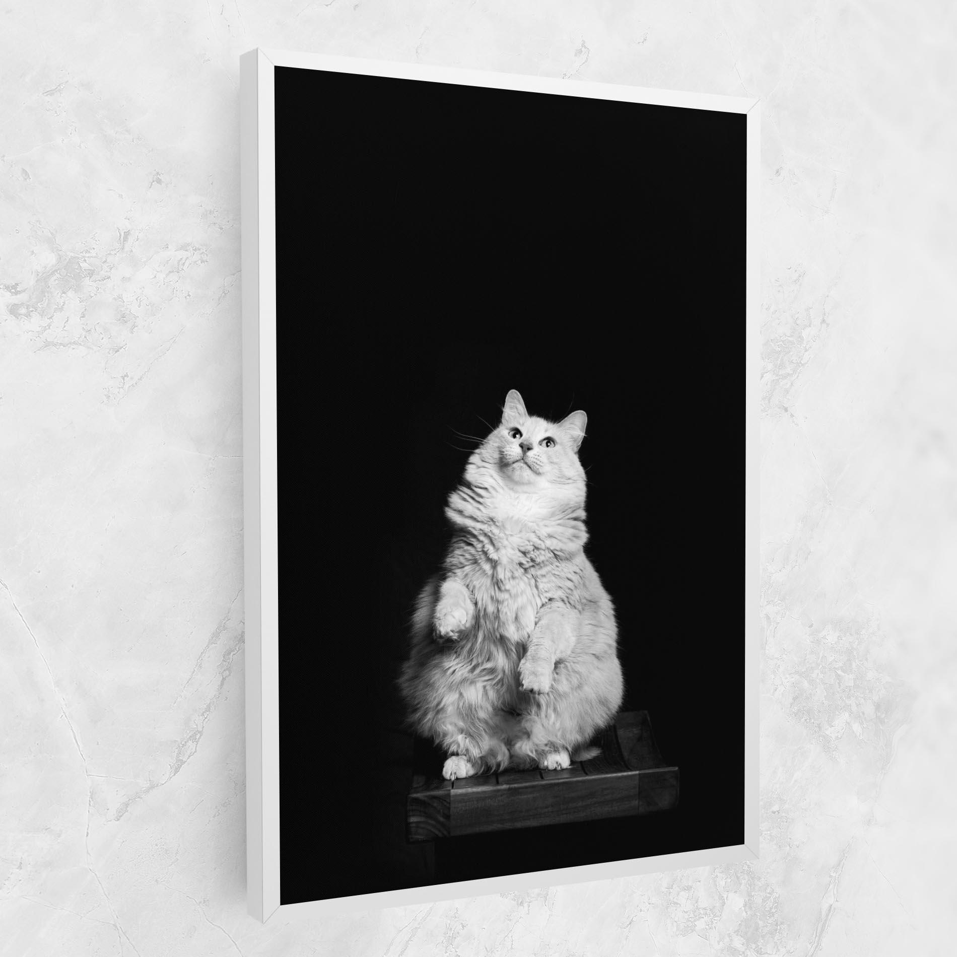Tablou Canvas Big Fluffy Cat mockup 1