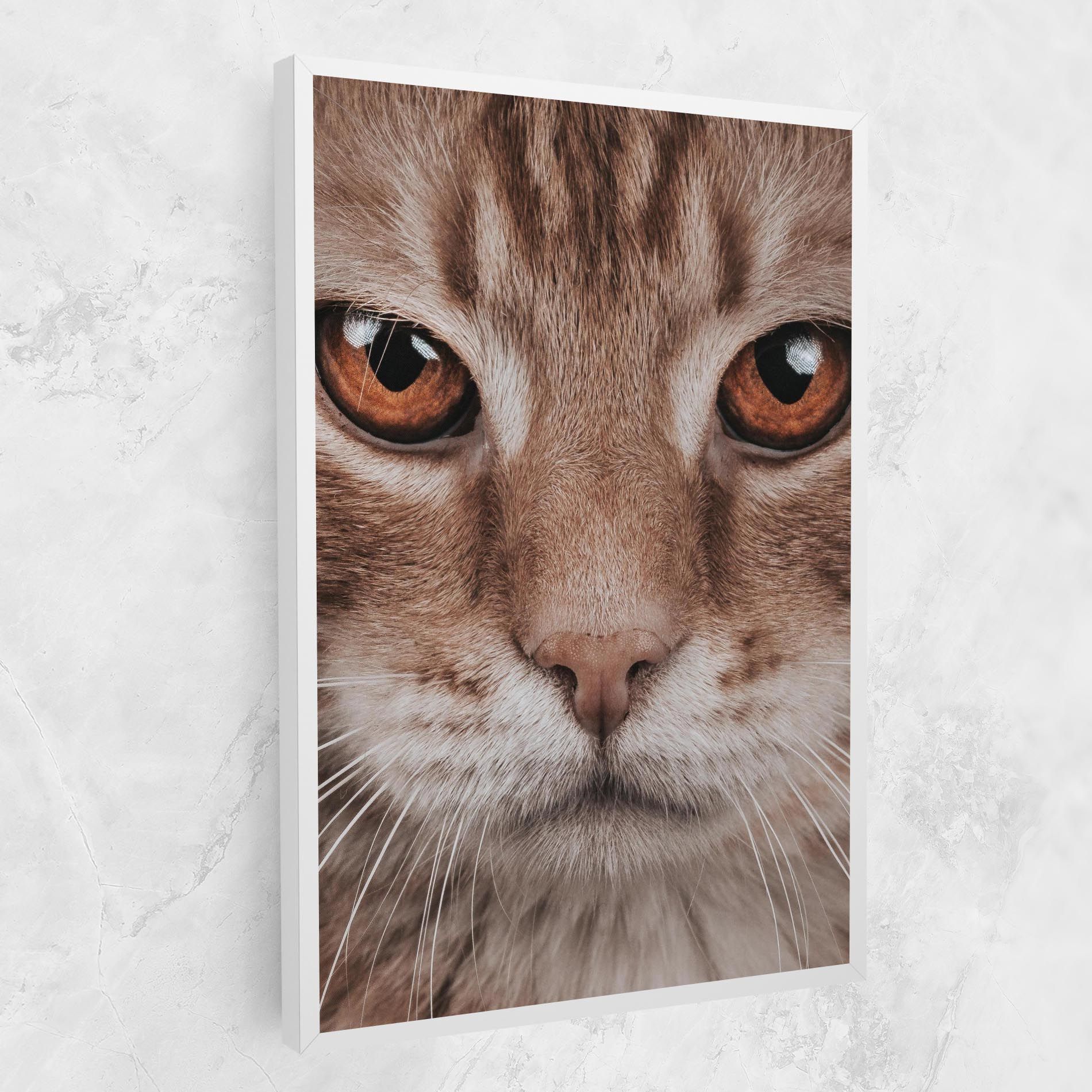 Fire Eyes Cat mockup 1