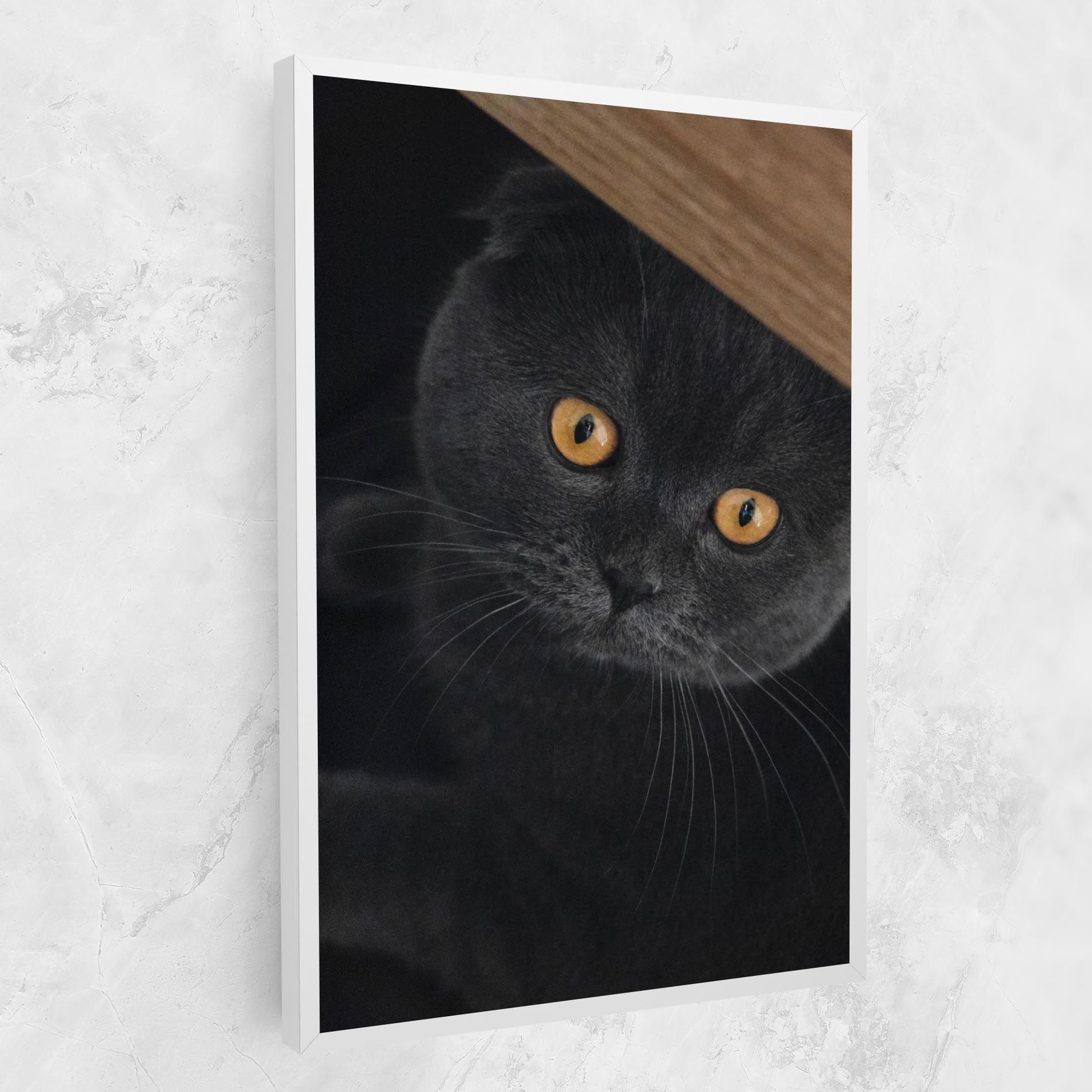 Grey Cat With Orange Eyes mockup 1