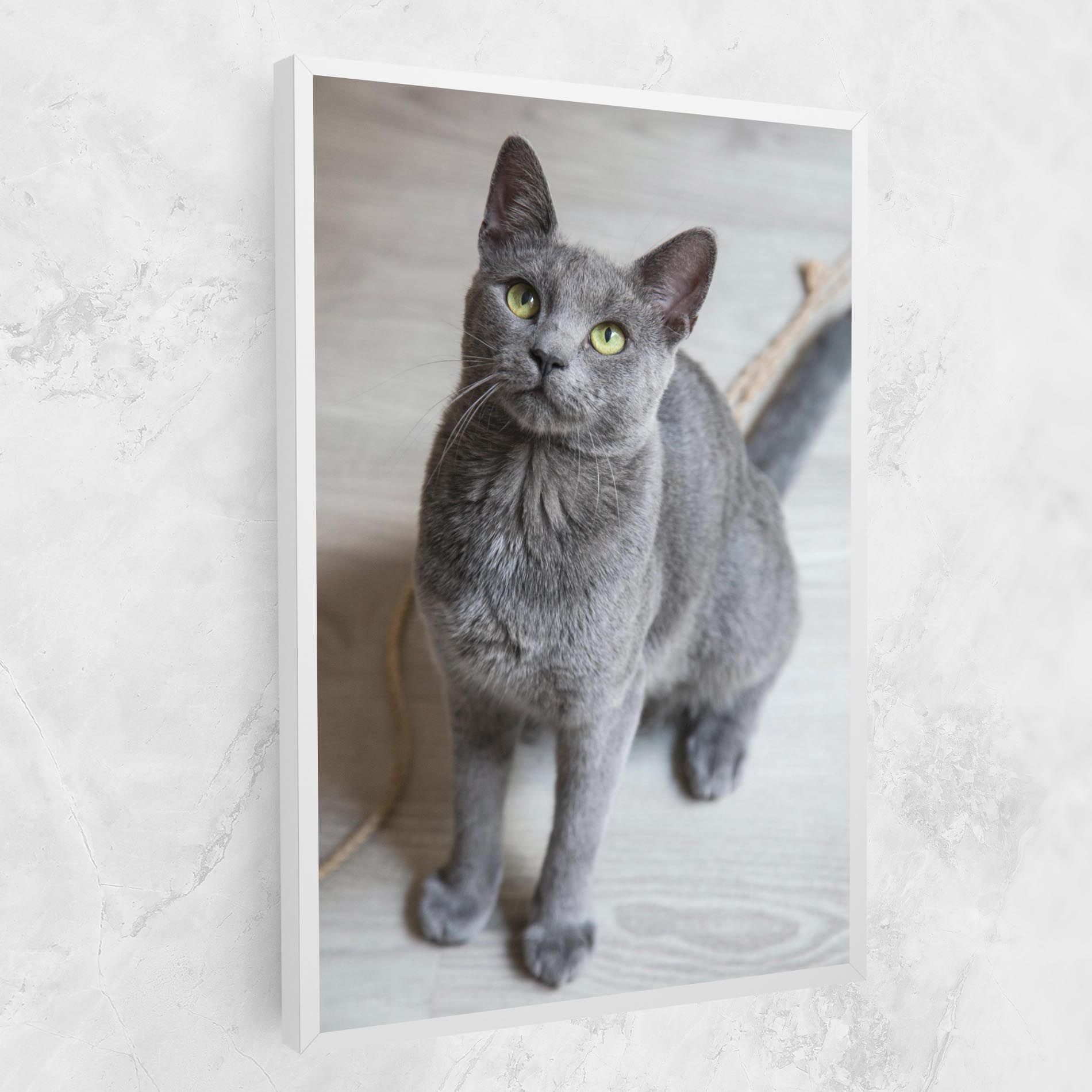 Grey Green Cat Eyes mockup 1