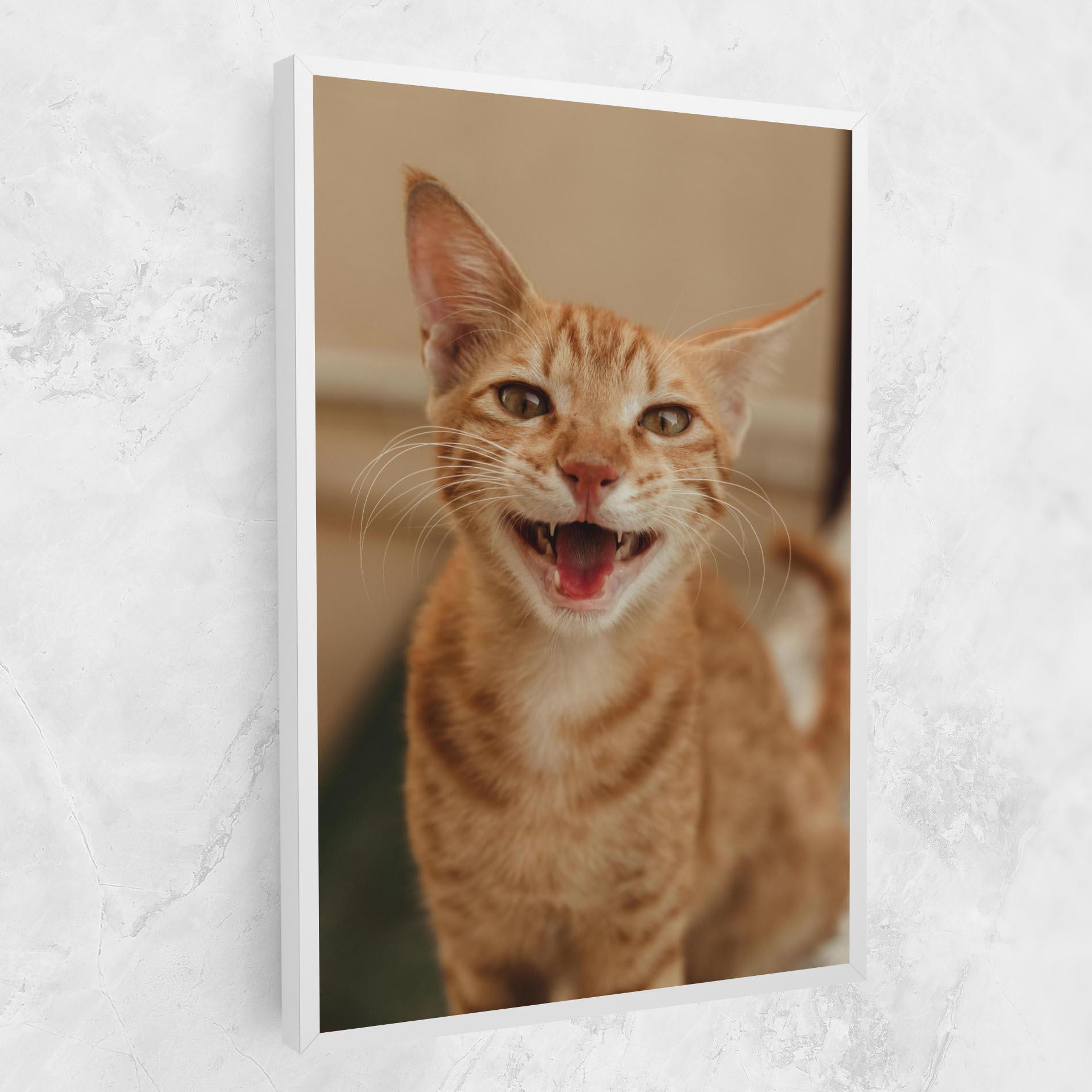 Tablou Canvas Orange Cat Smiling mockup 1