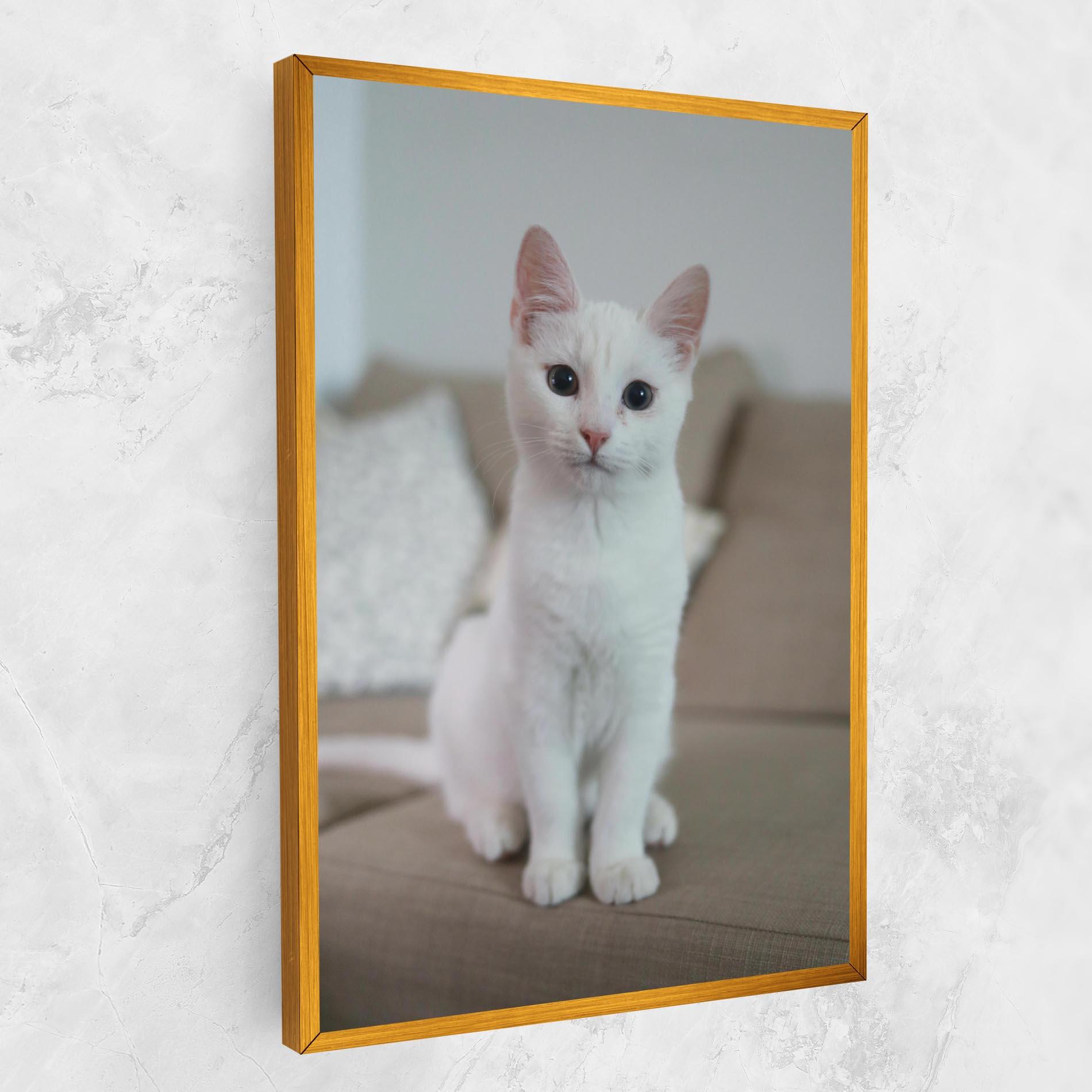 Tablou Canvas Beautiful White Cat mockup 1