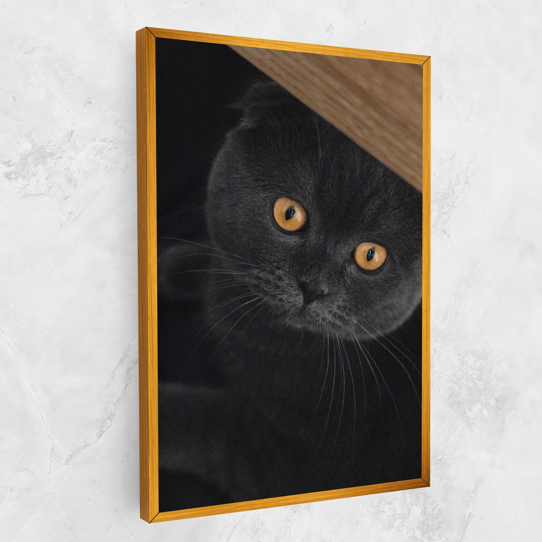 Tablou Canvas Grey Cat With Orange Eyes mockup 1