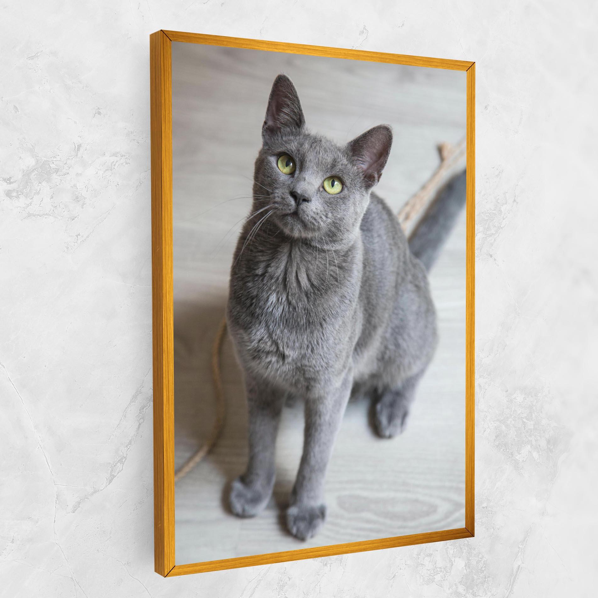 Tablou Canvas Grey Green Cat Eyes mockup 1