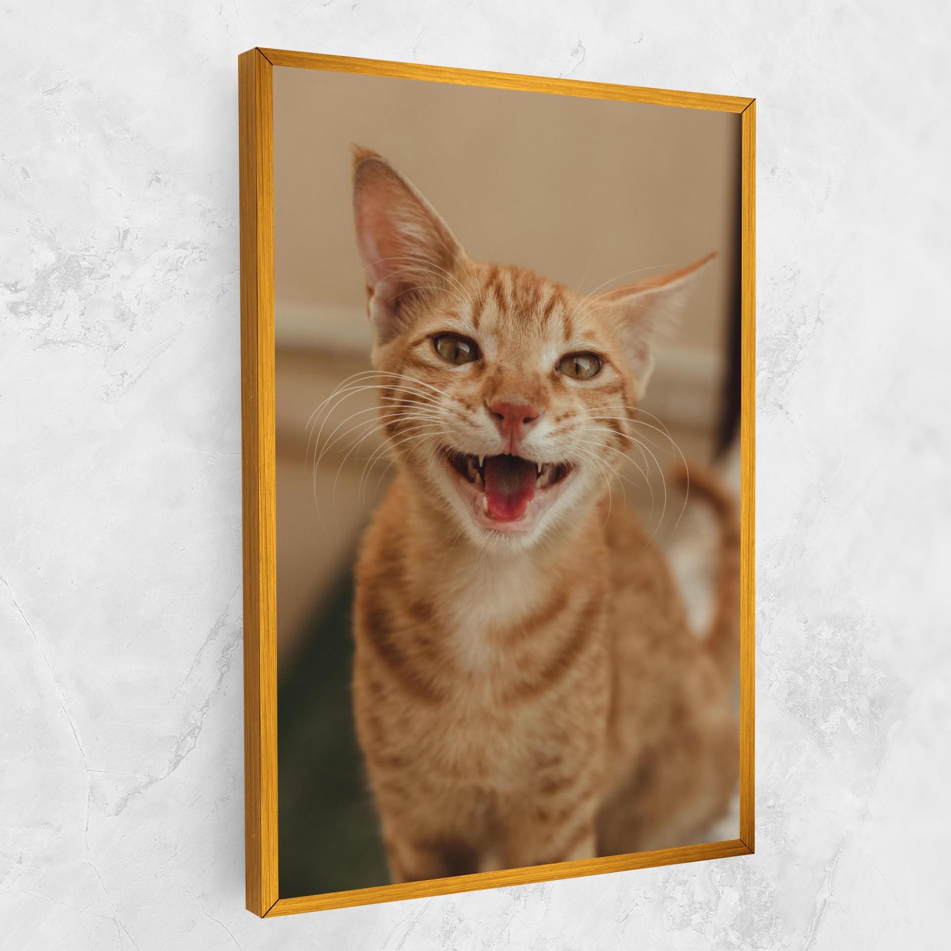 Orange Cat Smiling mockup 1