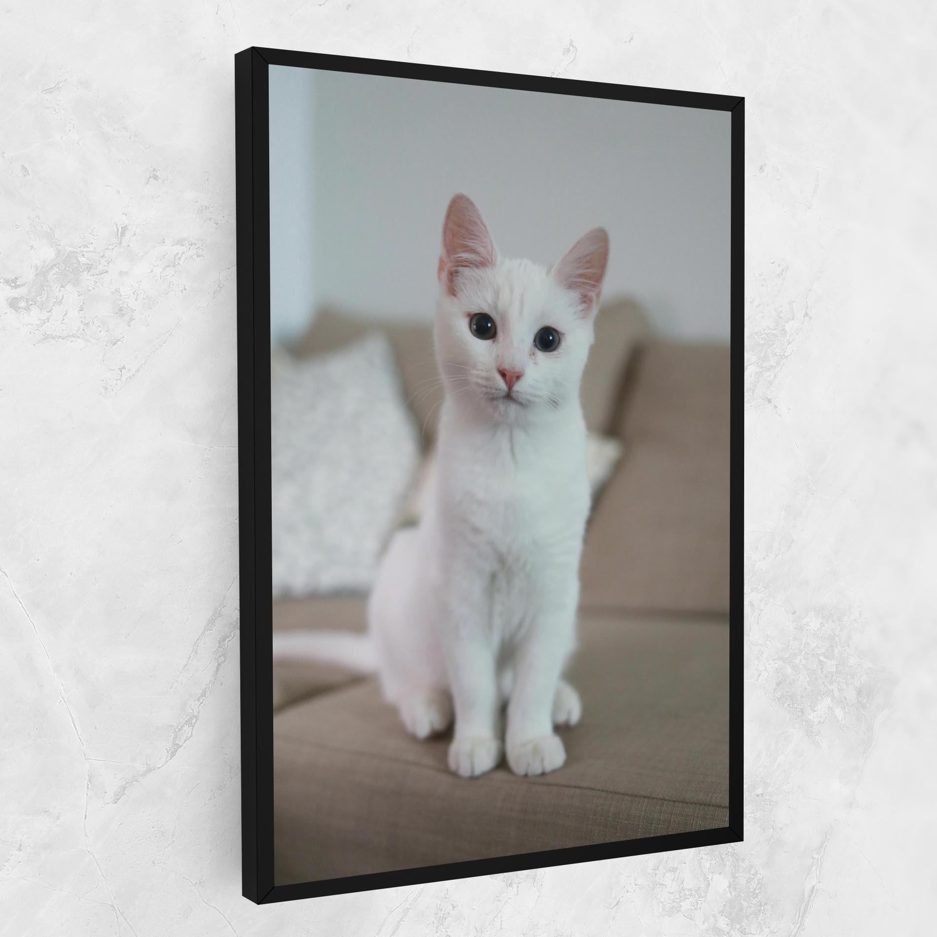 Tablou Canvas Beautiful White Cat mockup 1