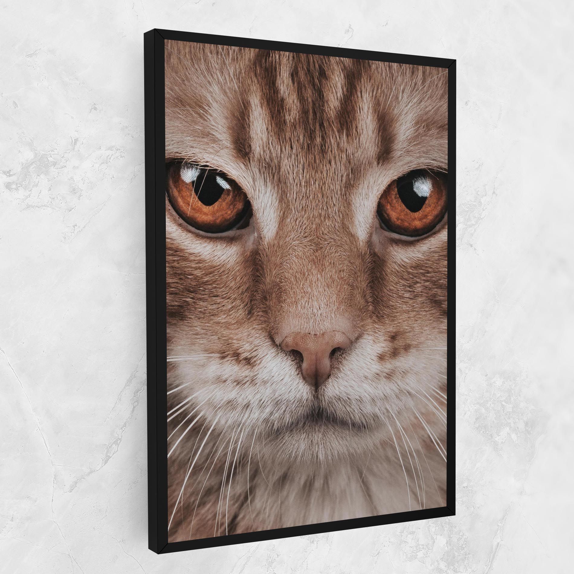 Fire Eyes Cat mockup 1