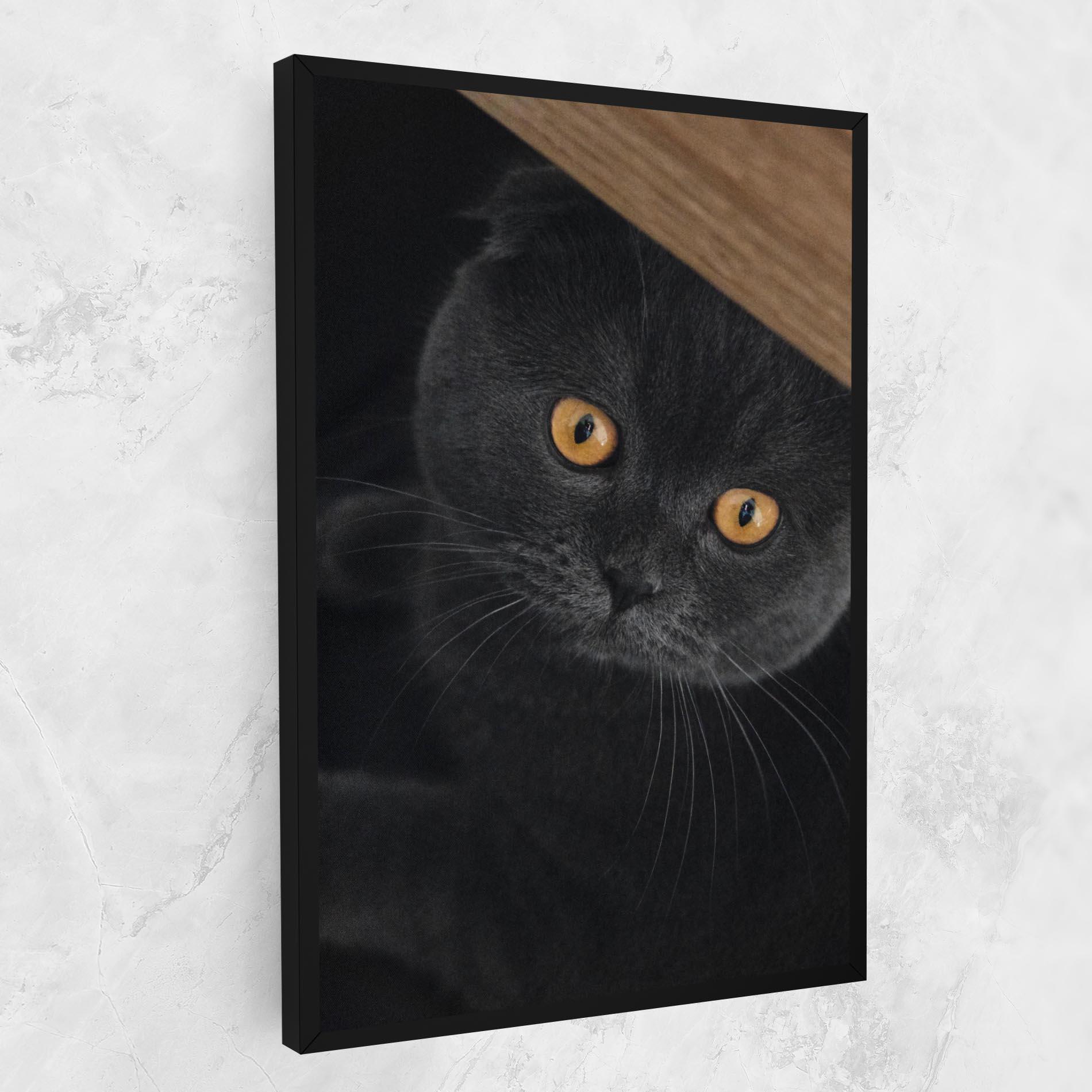 Tablou Canvas Grey Cat With Orange Eyes mockup 1