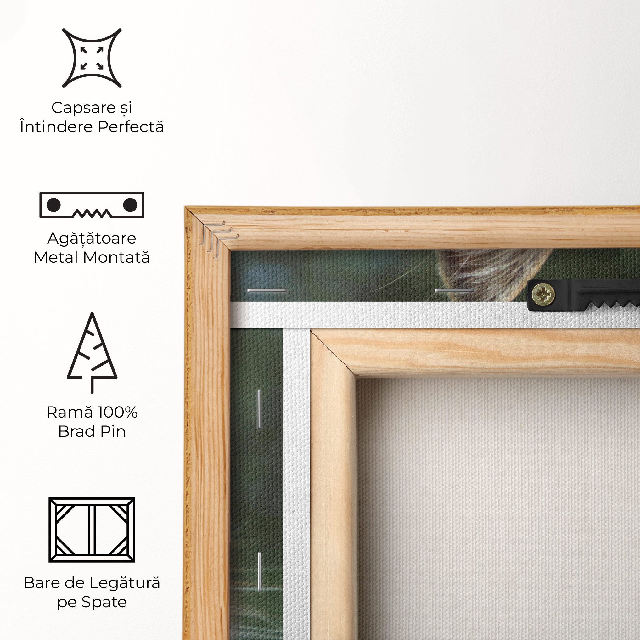 Blue Eyes Cutie mockup 5