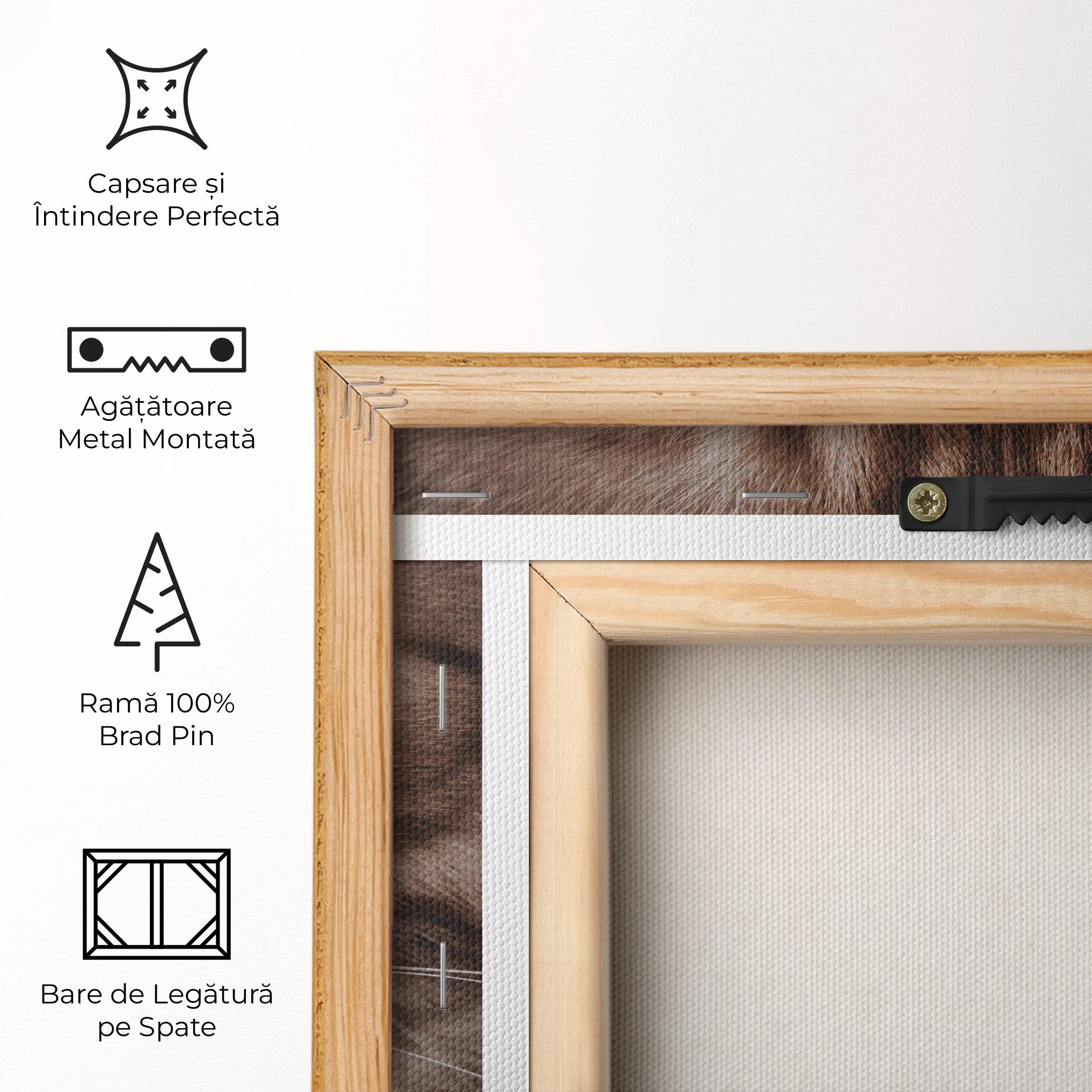 Fire Eyes Cat mockup 5