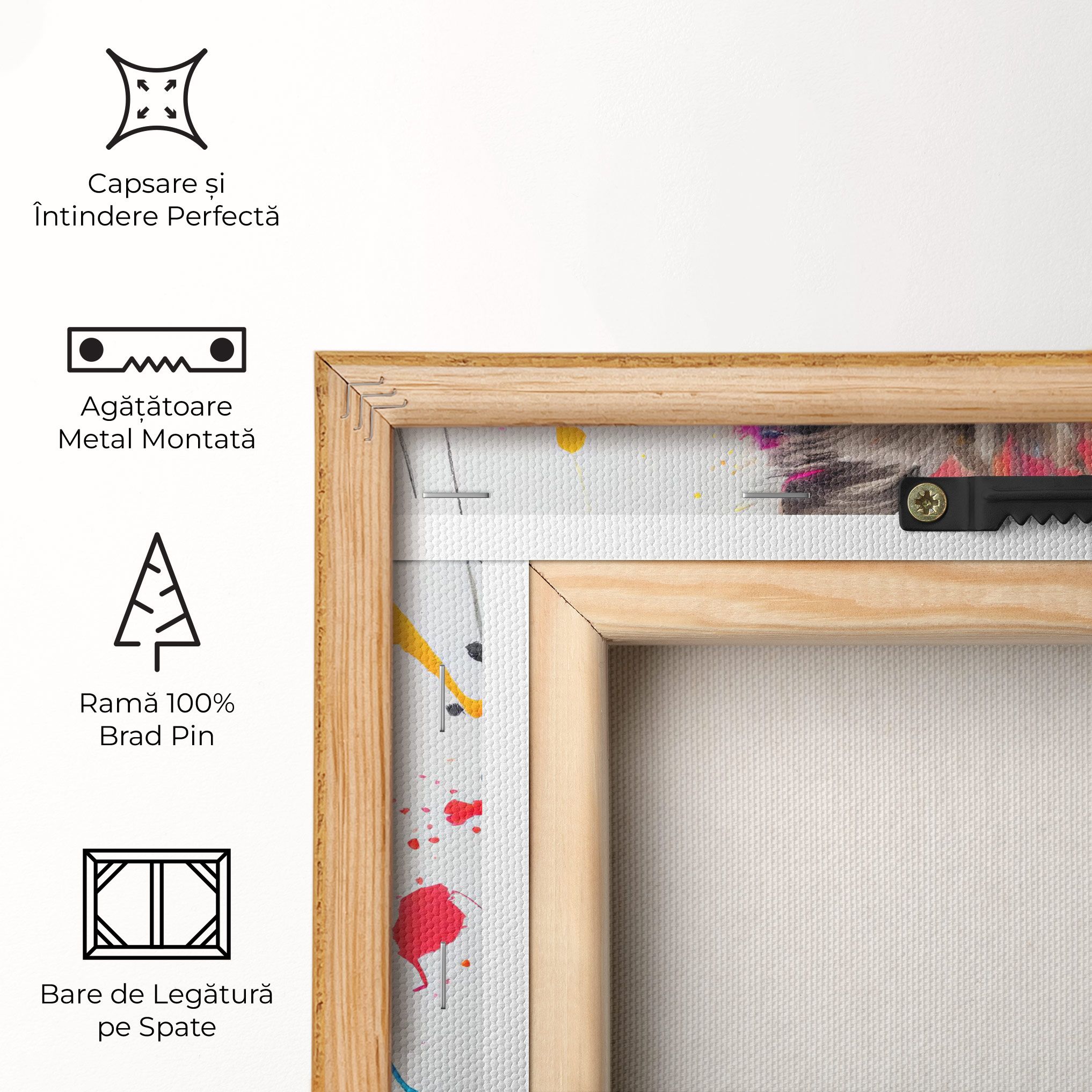 Fluffy Kitten With Clothes mockup 5