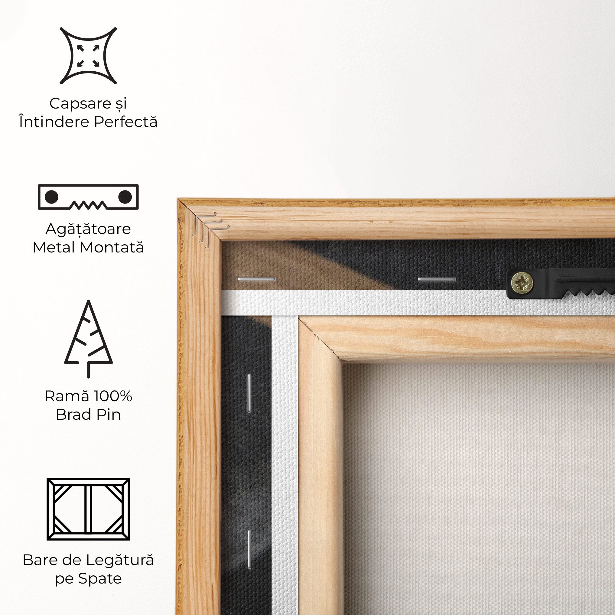 Grey Cat With Orange Eyes mockup 5