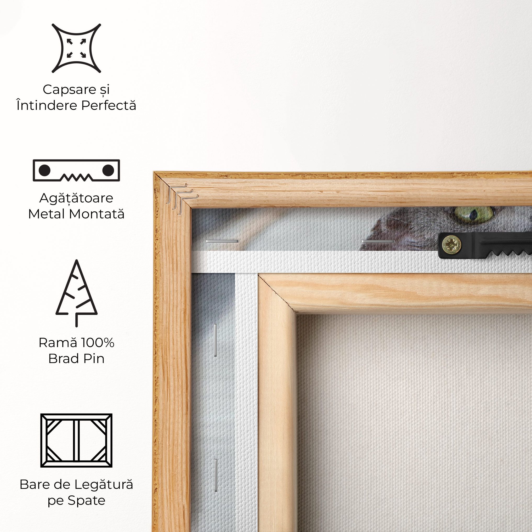 Grey Green Cat Eyes mockup 5