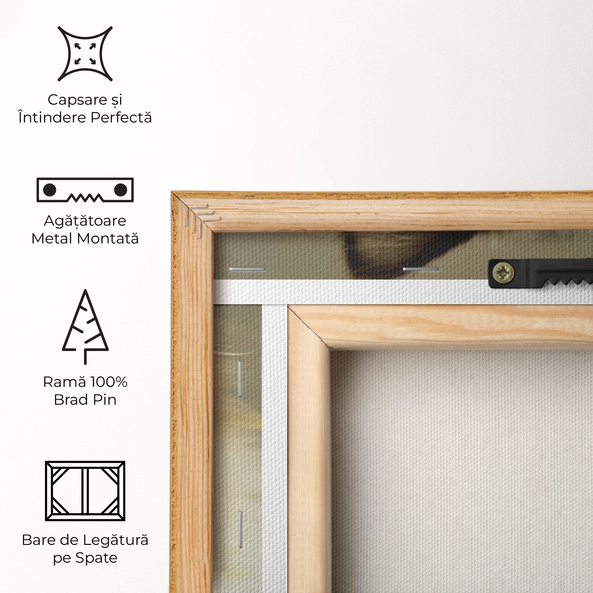 Interesting Blue Eyes Cat mockup 5