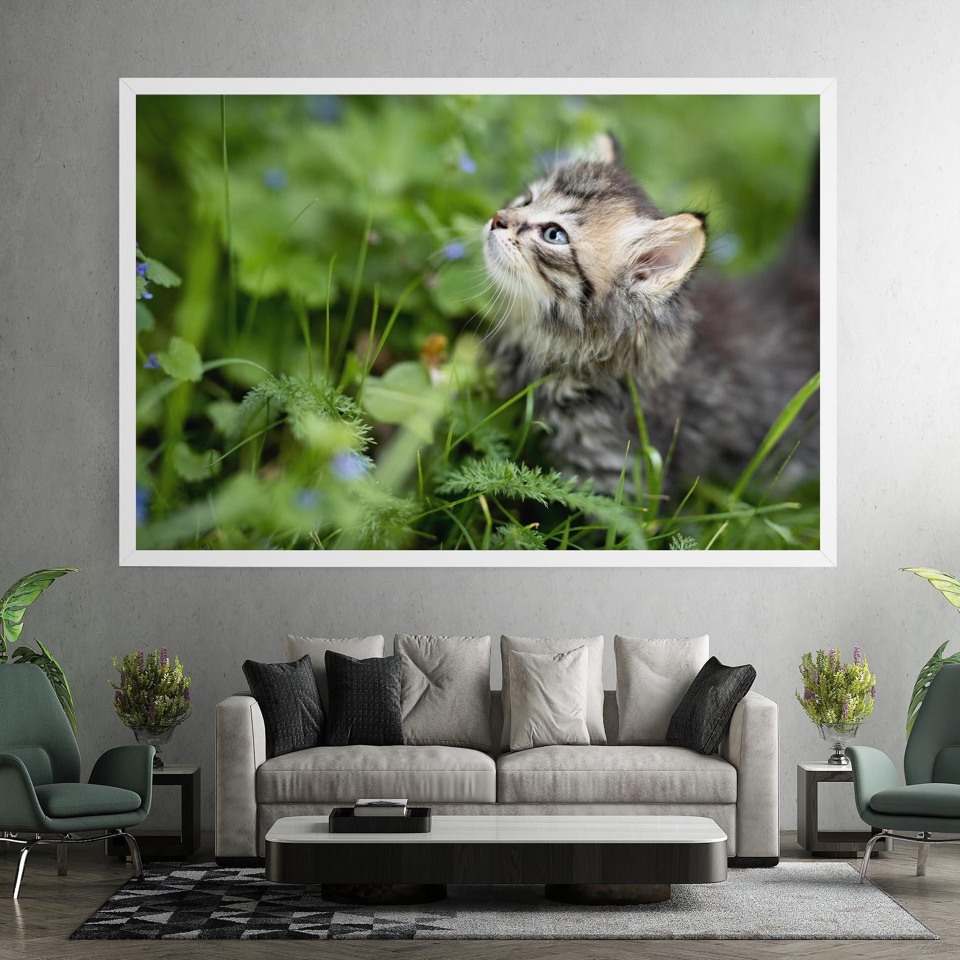 Tablou Canvas Brown Baby Cat mockup 7